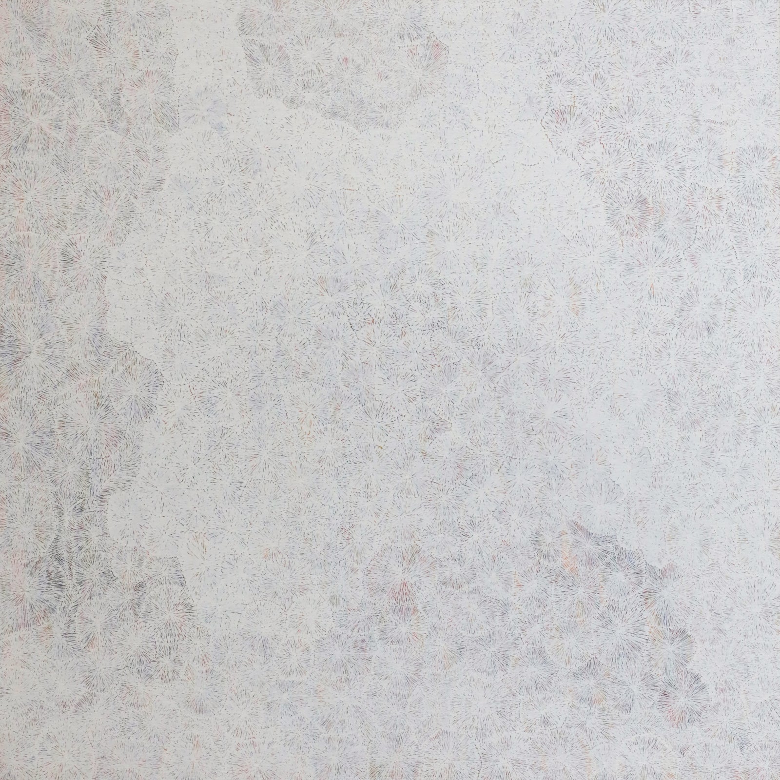 Janice Kngwarreye Clarke | Ilyarnayt 458-25