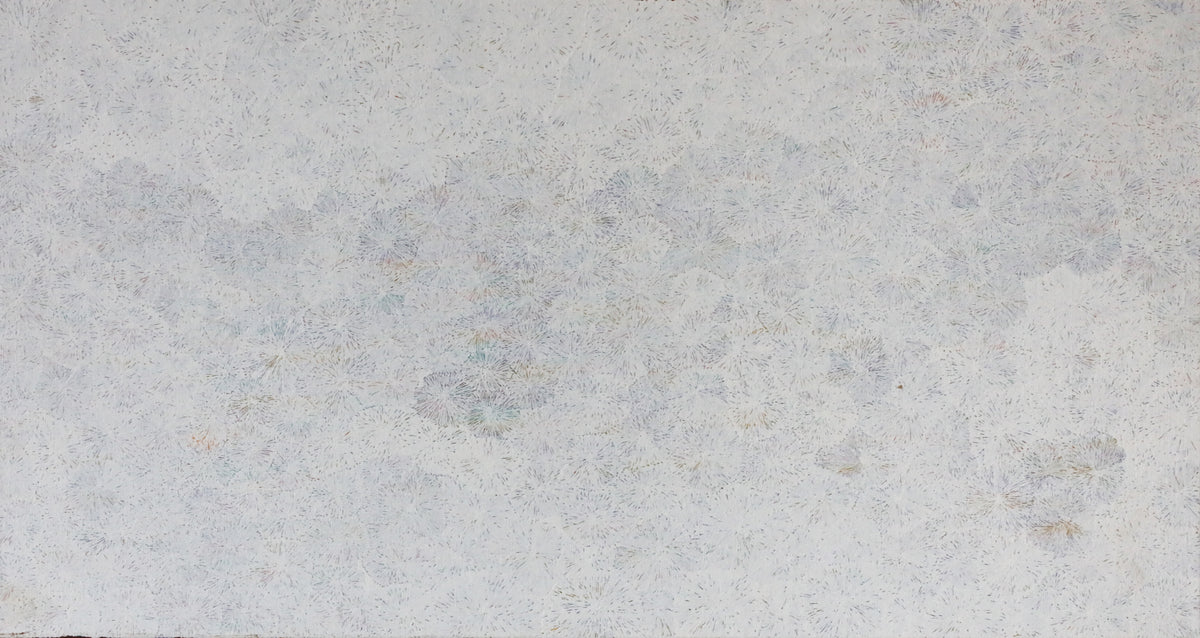 Janice Kngwarreye Clarke | Ilyarnayt 558-25