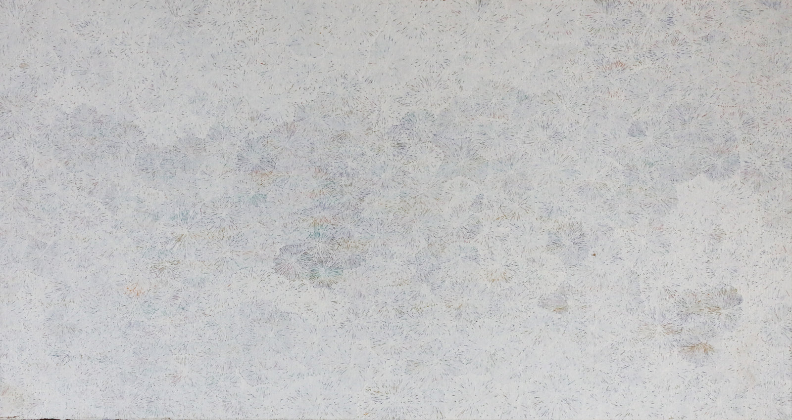 Janice Kngwarreye Clarke | Ilyarnayt 558-25