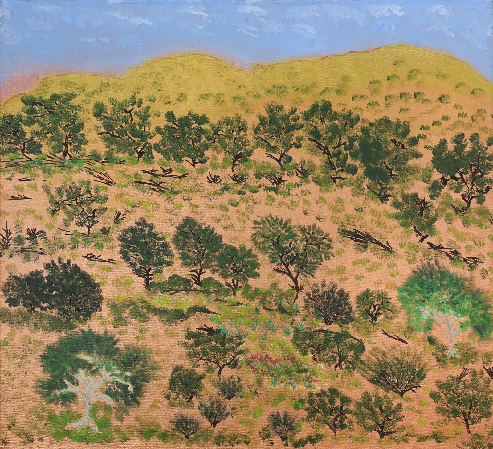 Jean Norman | My Ngurra (Country) 23-79