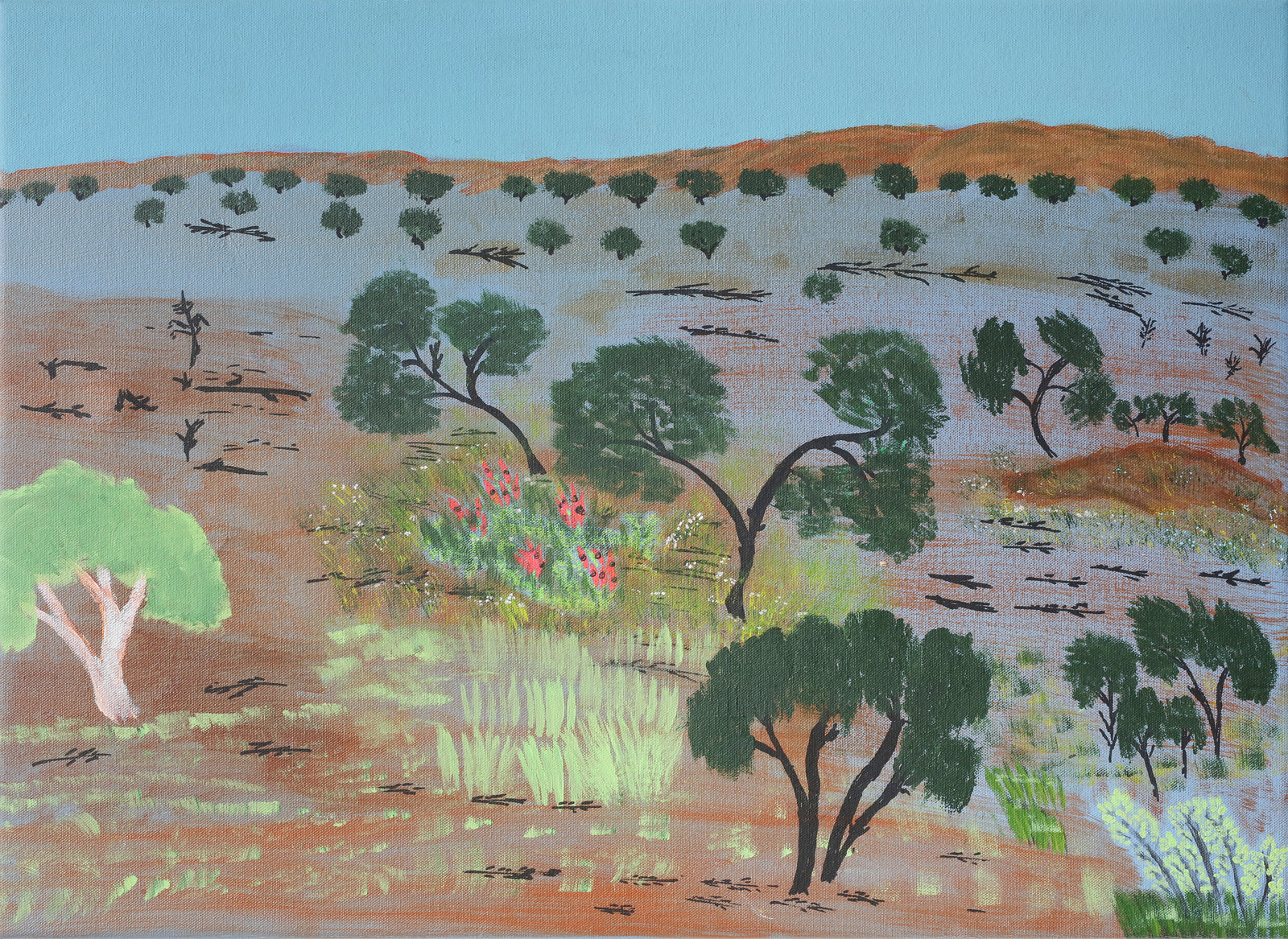 Jean Norman | Ngurra (Country) 23-180