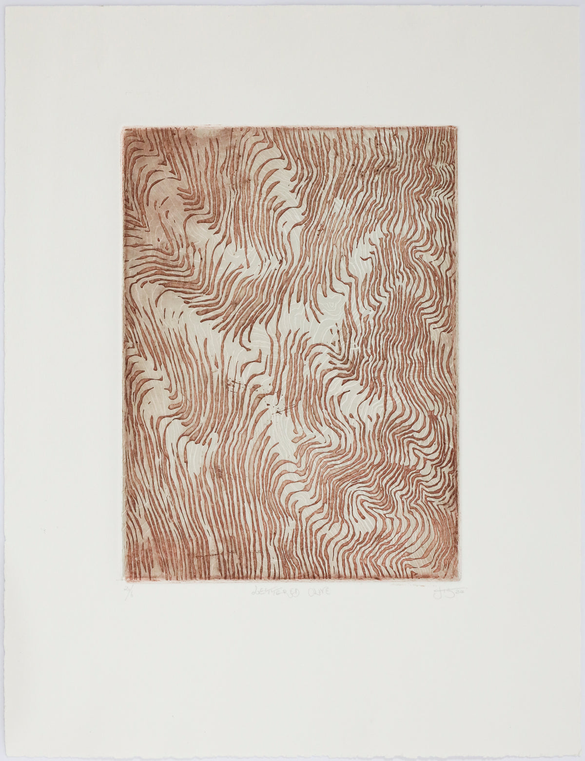 Jennifer Tarry-Smith | Lettered Olive