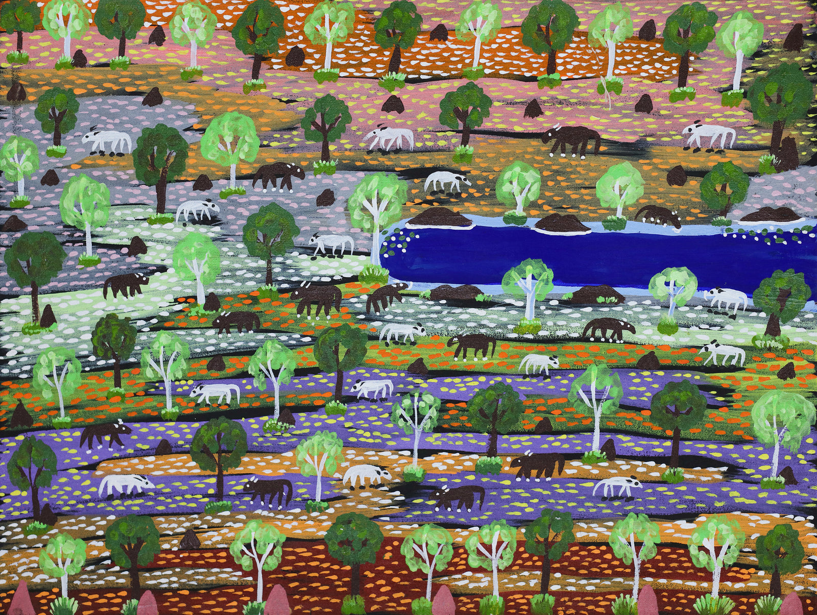 Jill Daniels | Billabong and cattle 36-25