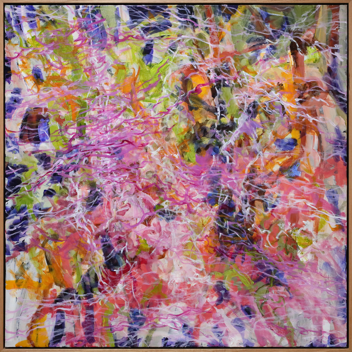 Jo Woods | I am an Ant in the Bottlebrush
