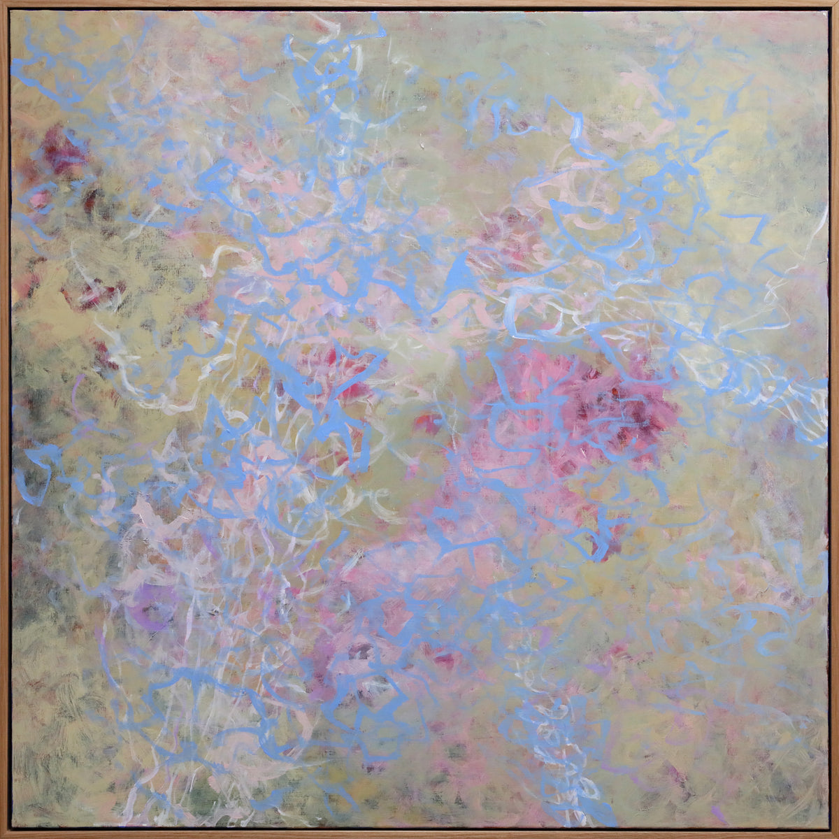 Jo Woods | Shallow Reef