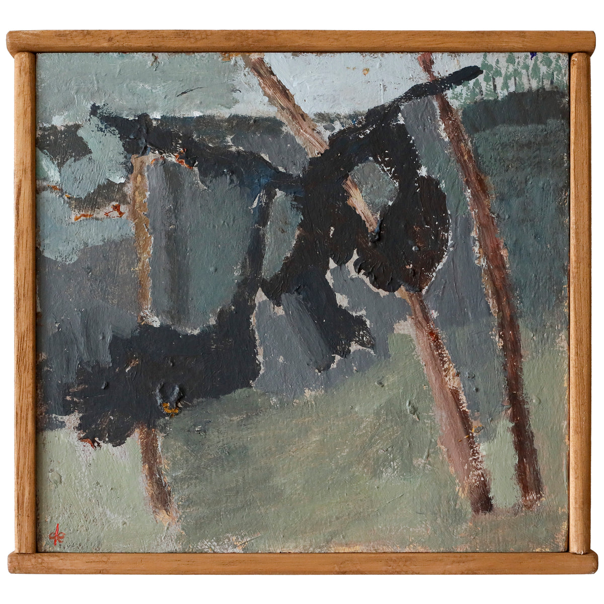 Joshua de Gruchy | Caught in the trees
