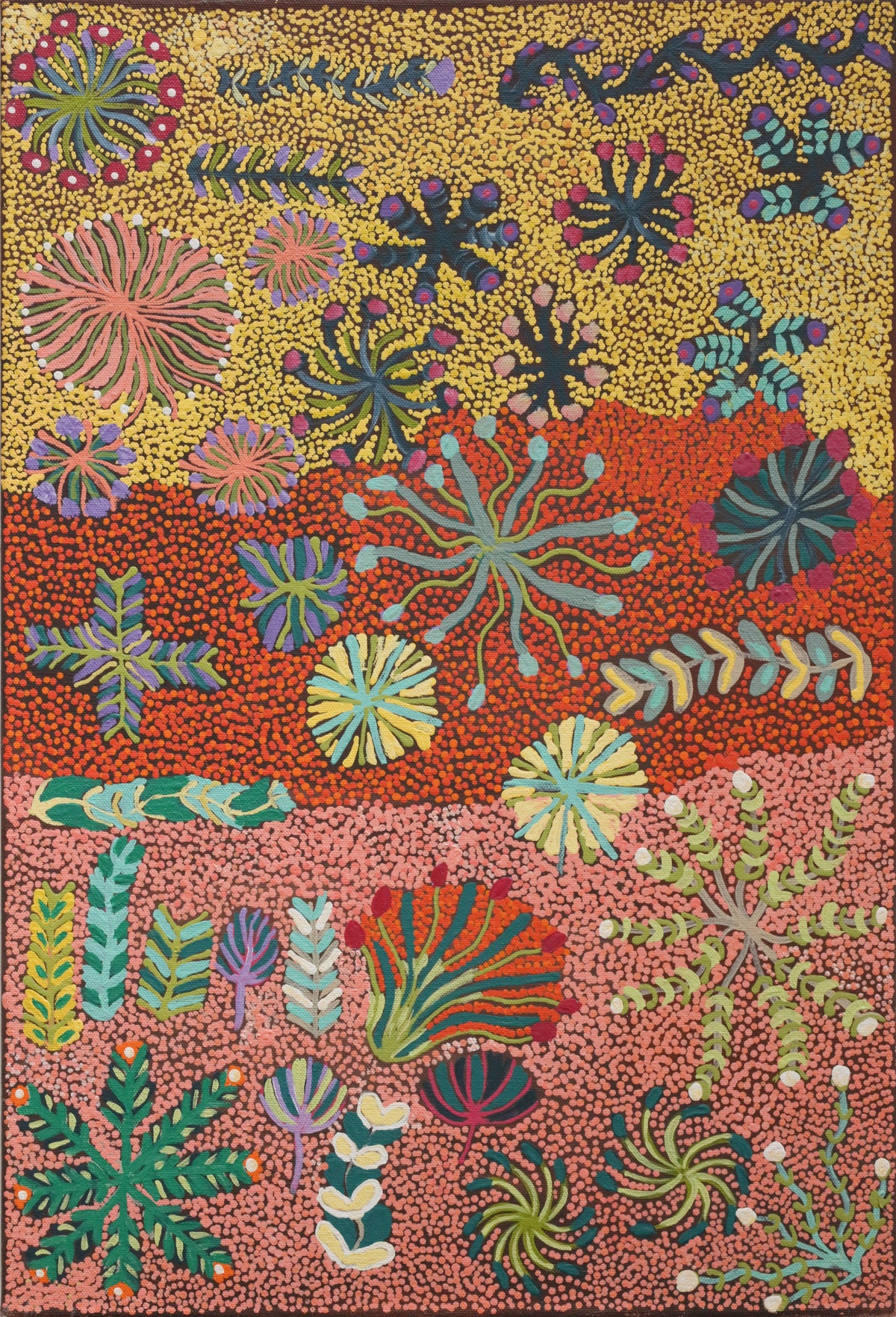 Julieanne Ngwarraye Morton | My Country, My Bush Medicine 447-25