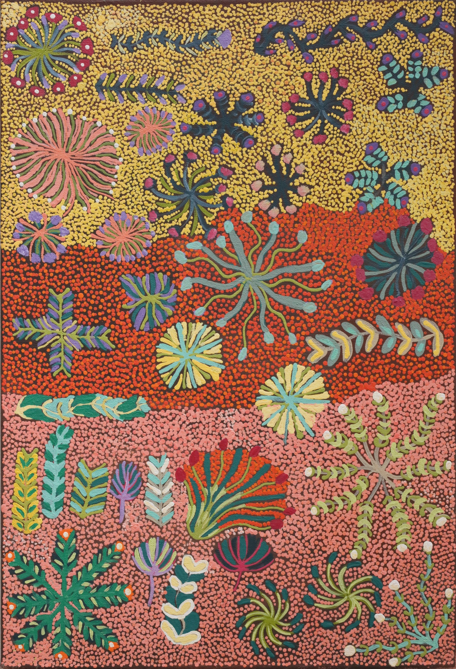 Julieanne Ngwarraye Morton | My Country, My Bush Medicine 447-25