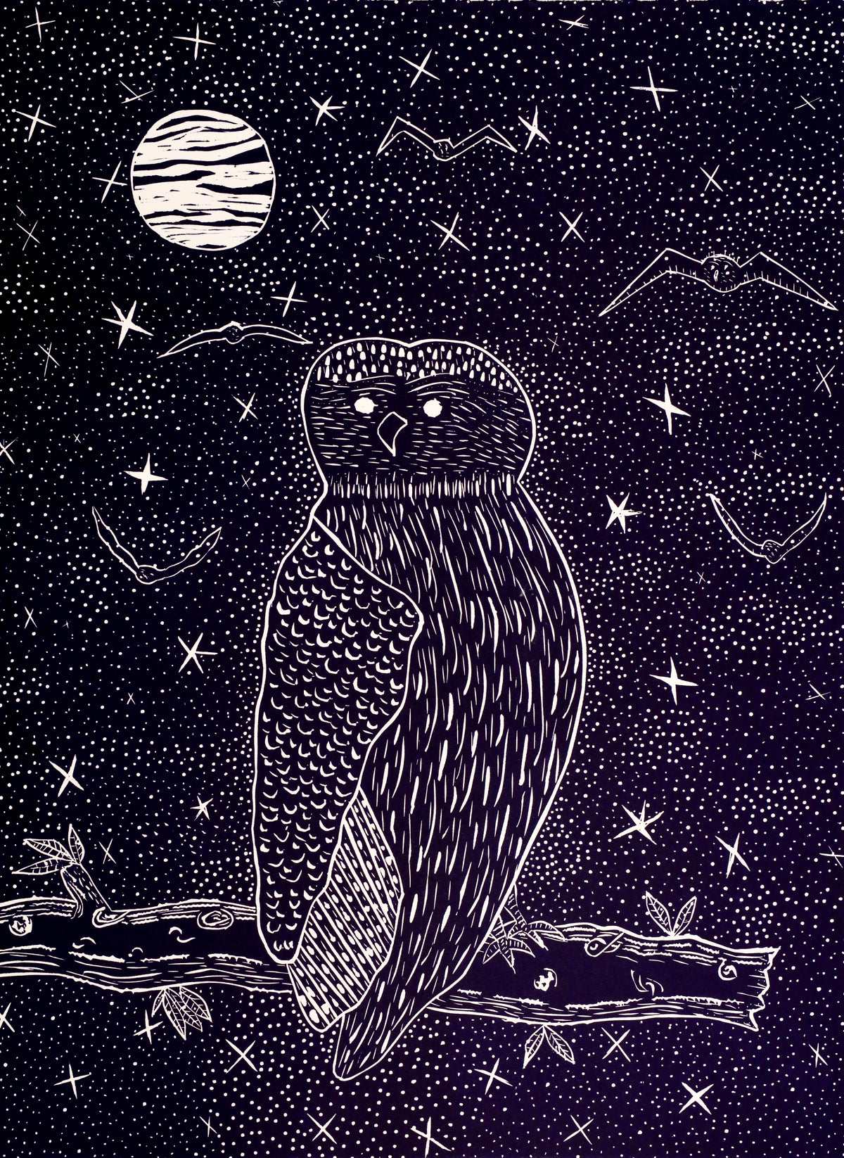 Karen Rogers | Owl 533-23