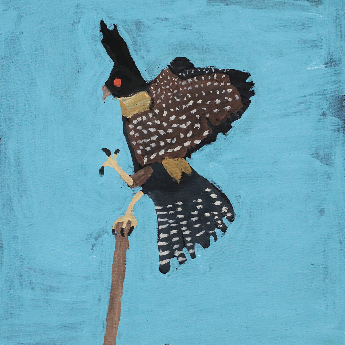 Nyangulya Katie Nalgood | Kite Hawk Flying 23-448