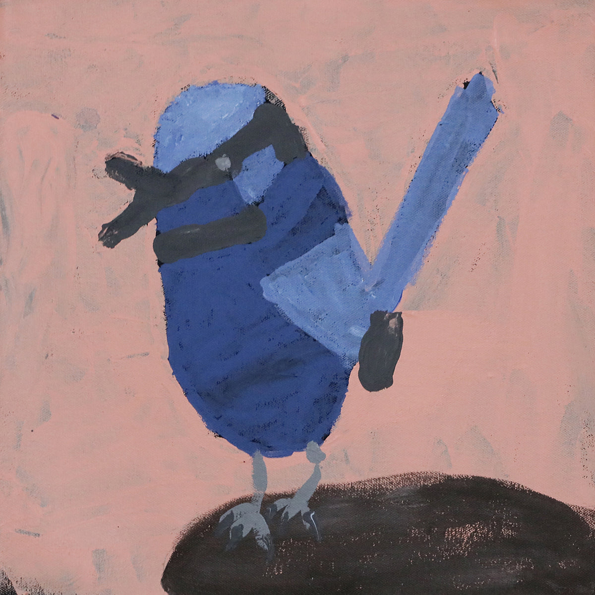 Nyangulya Katie Nalgood | Fairy Wren 25-324