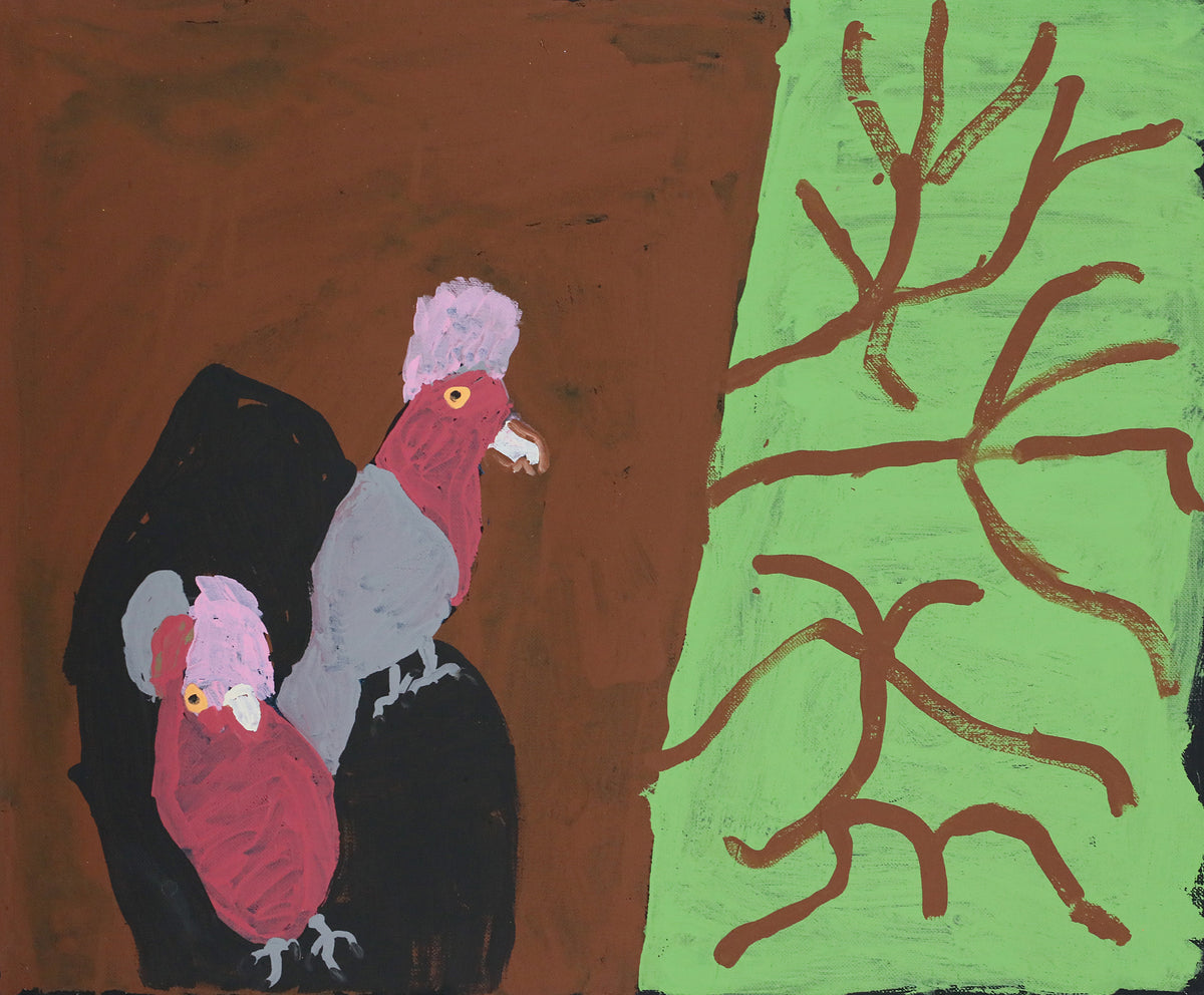 Nyangulya Katie Nalgood | Galahs at Home 25-132
