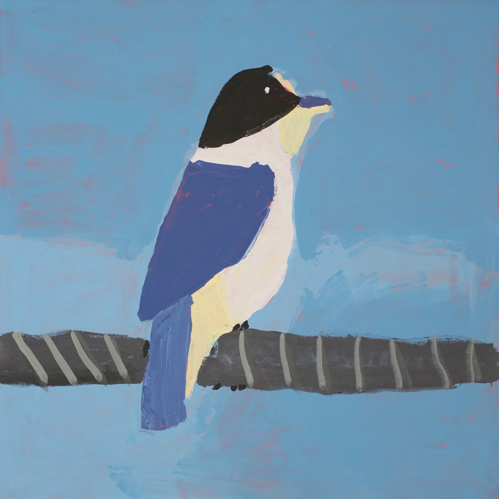 Nyangulya Katie Nalgood | Kingfisher 25-298