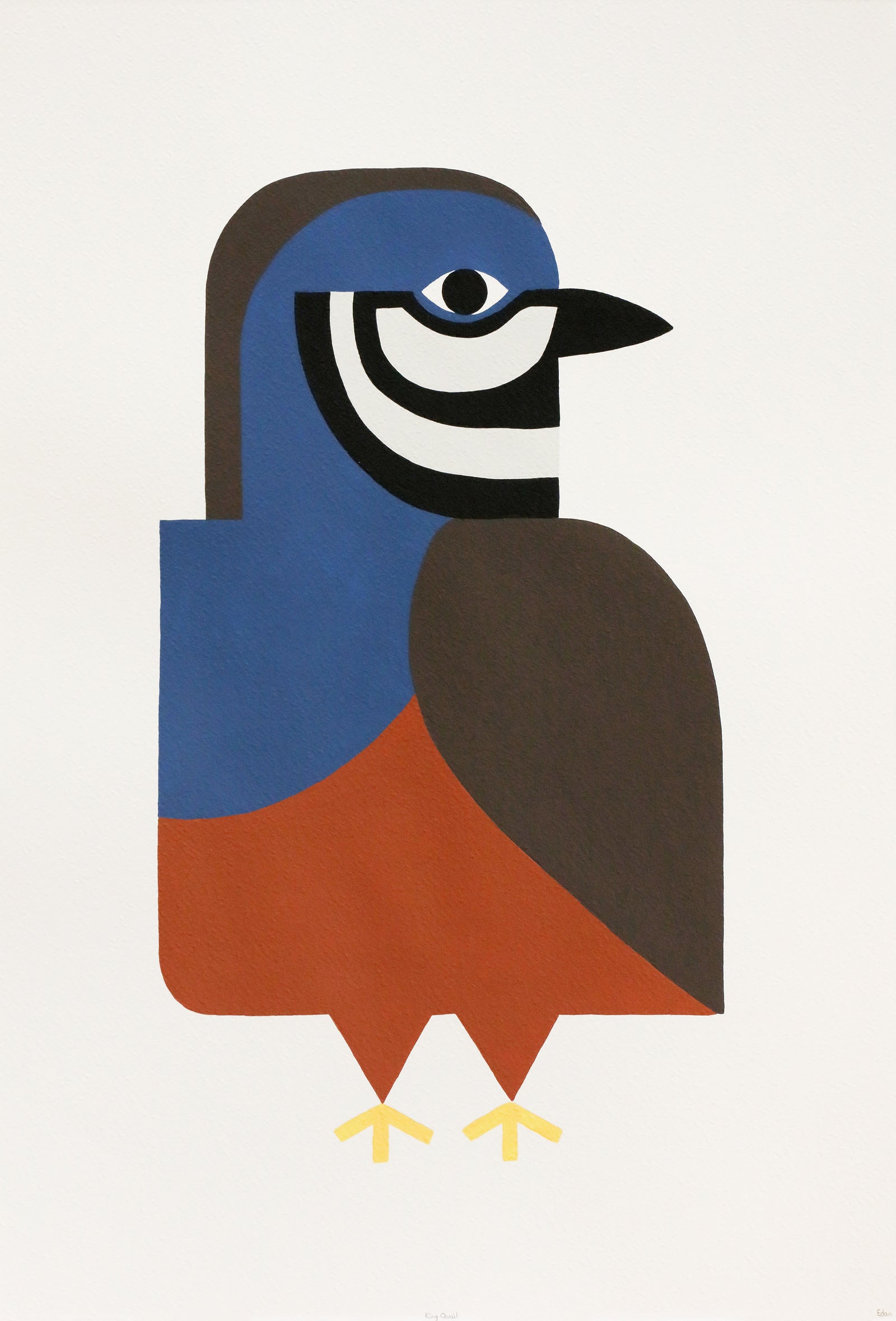 Edan Azzopardi | King quail