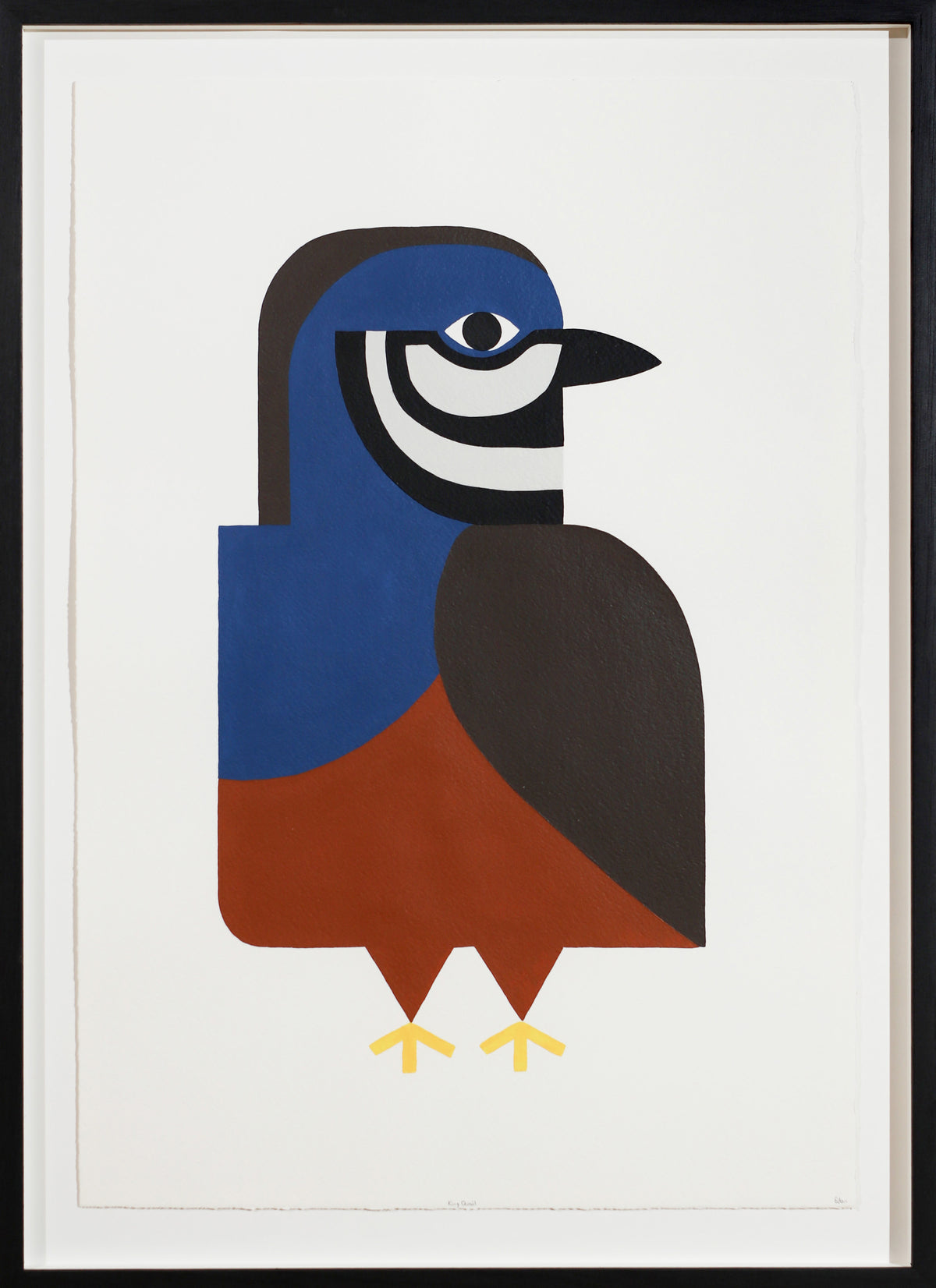 Edan Azzopardi | King quail