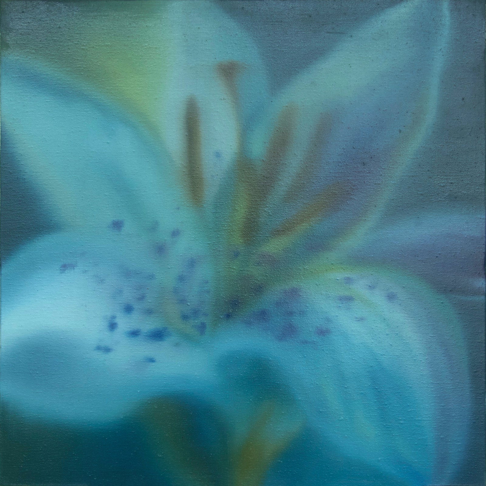 Cindy Cal | LILY 百合花 (1)