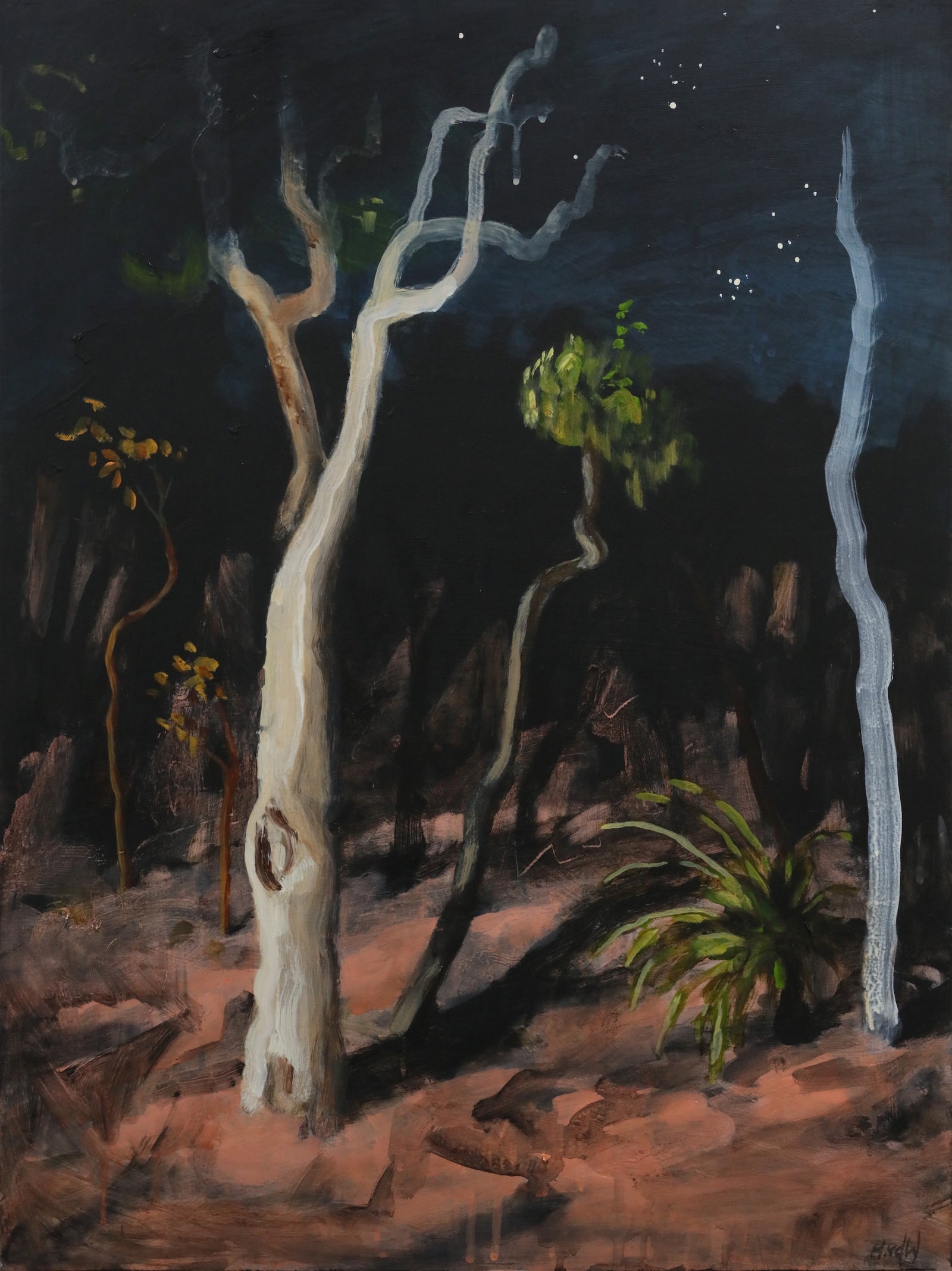 Hannah van der Wal | Last light