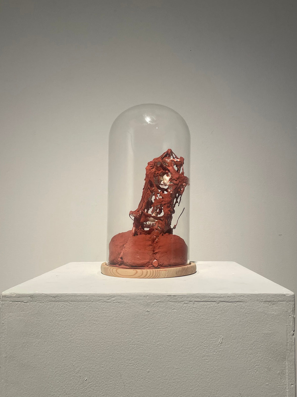 Liangwen Qin | Glory