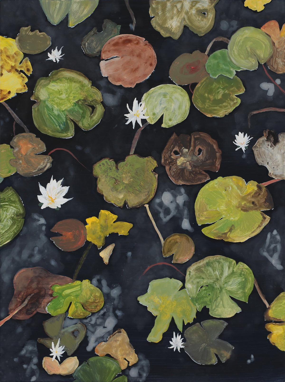Sam Boyle | Lily pads V