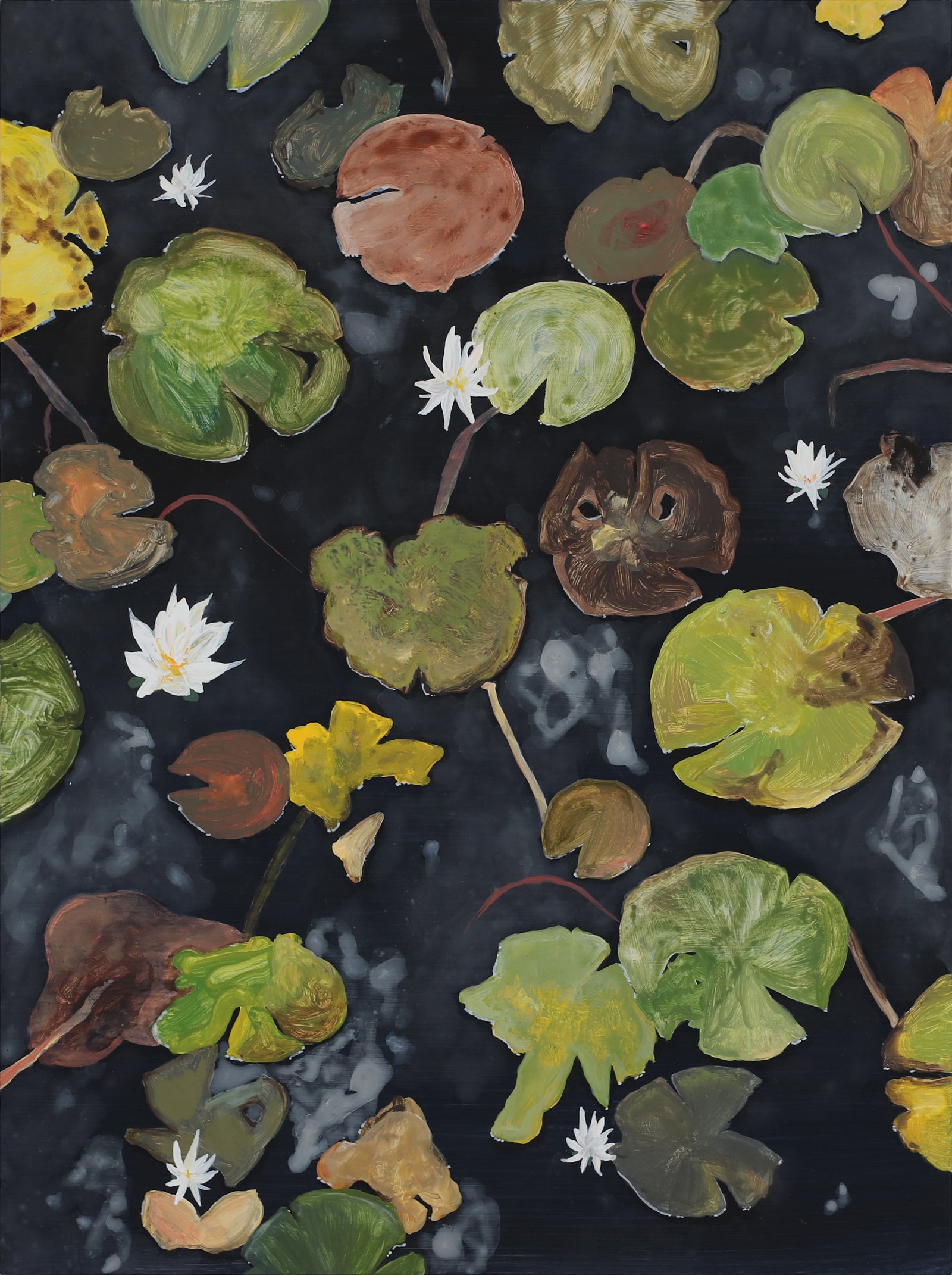 Sam Boyle | Lily pads V