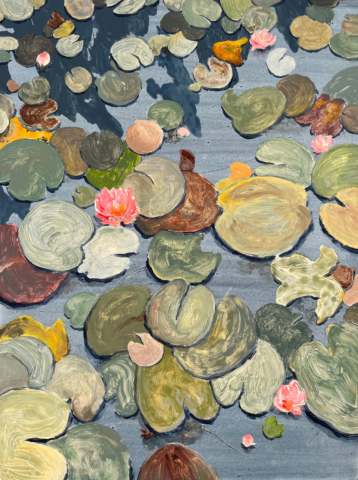 Sam Boyle | Lily pads