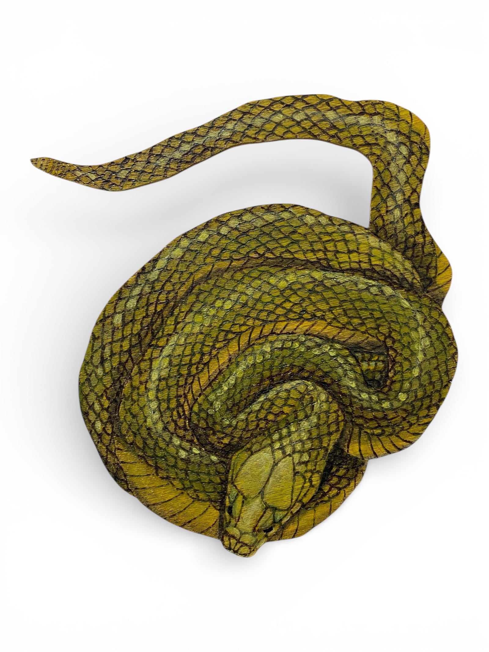 Sonia Martignon | Link