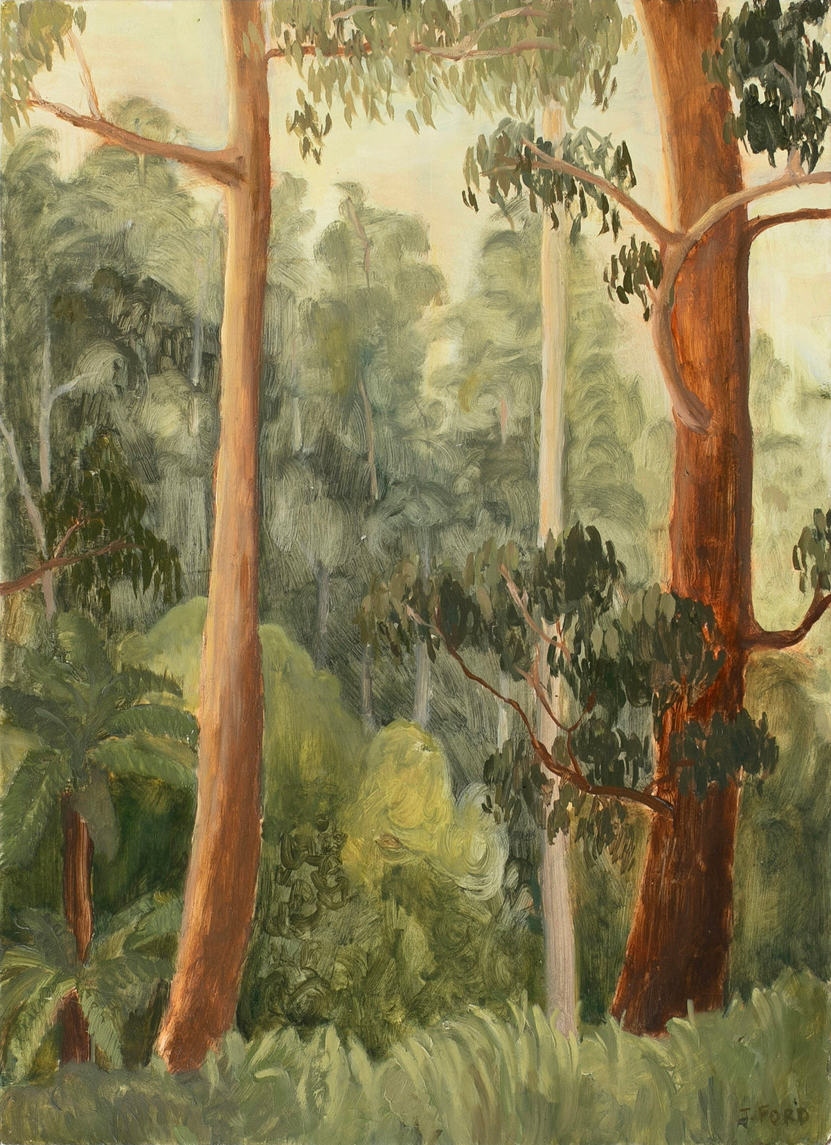 Jessie Rose Ford | Lyrebird Greeting on the Walk Out of Sherbrooke Falls
