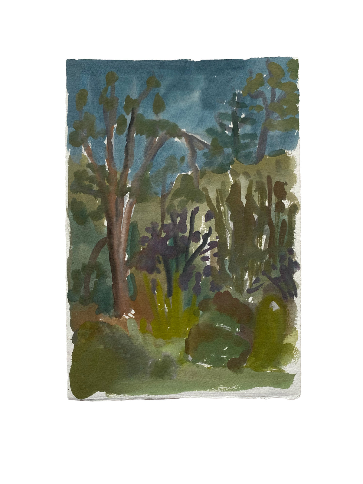 Maddie Sewall | Mangalore Garden 2
