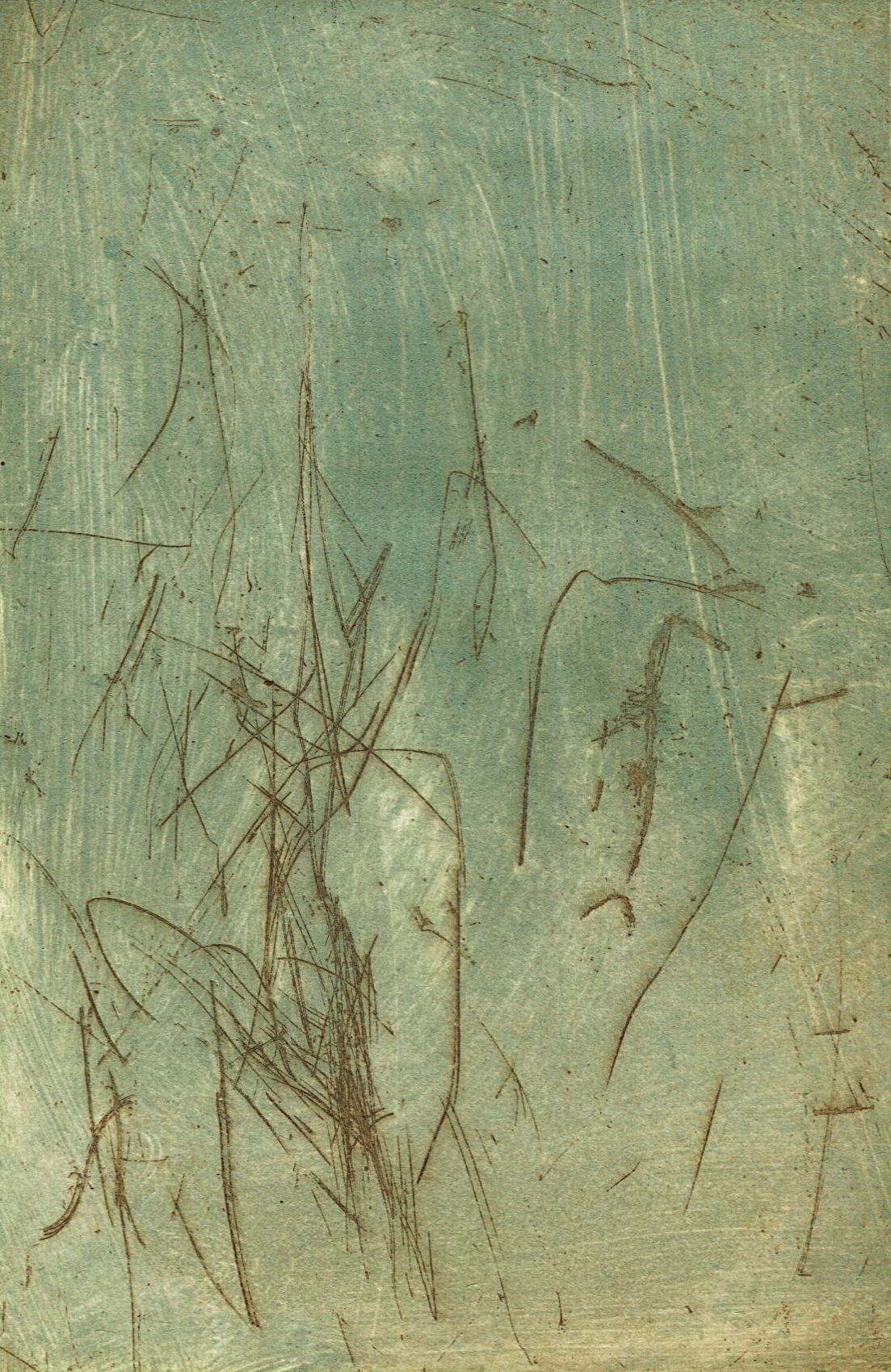 Cecilia Jacobs | Marks