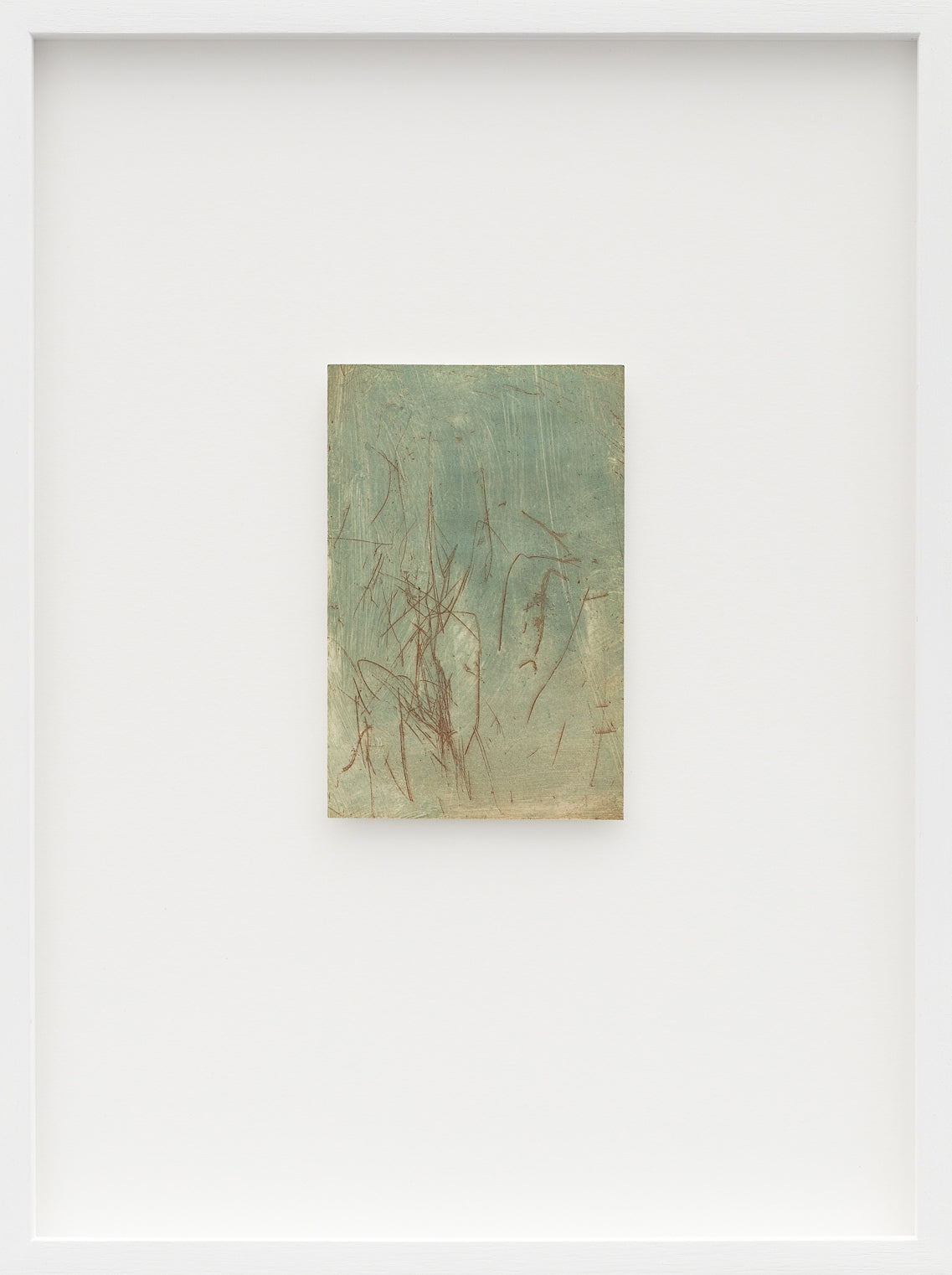 Cecilia Jacobs | Marks
