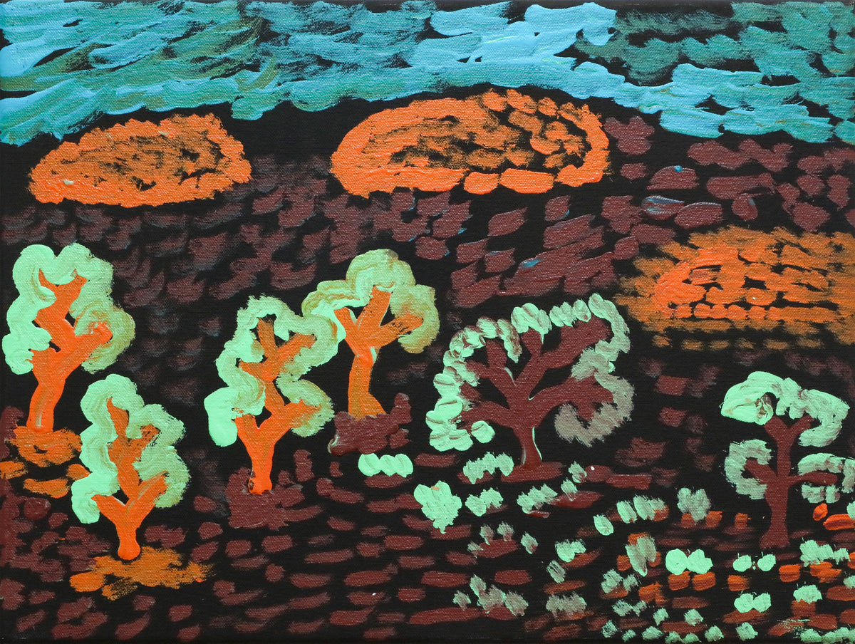 Millie Pei Pie | Tinka Tjukurrpa 23-906KA