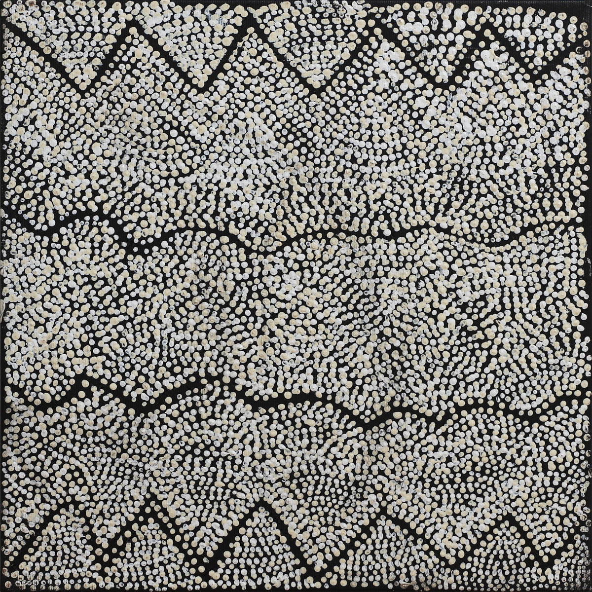 Margaret Napangardi Lewis | Mina Mina Jukurrpa (Mina Mina Dreaming) 4040/25