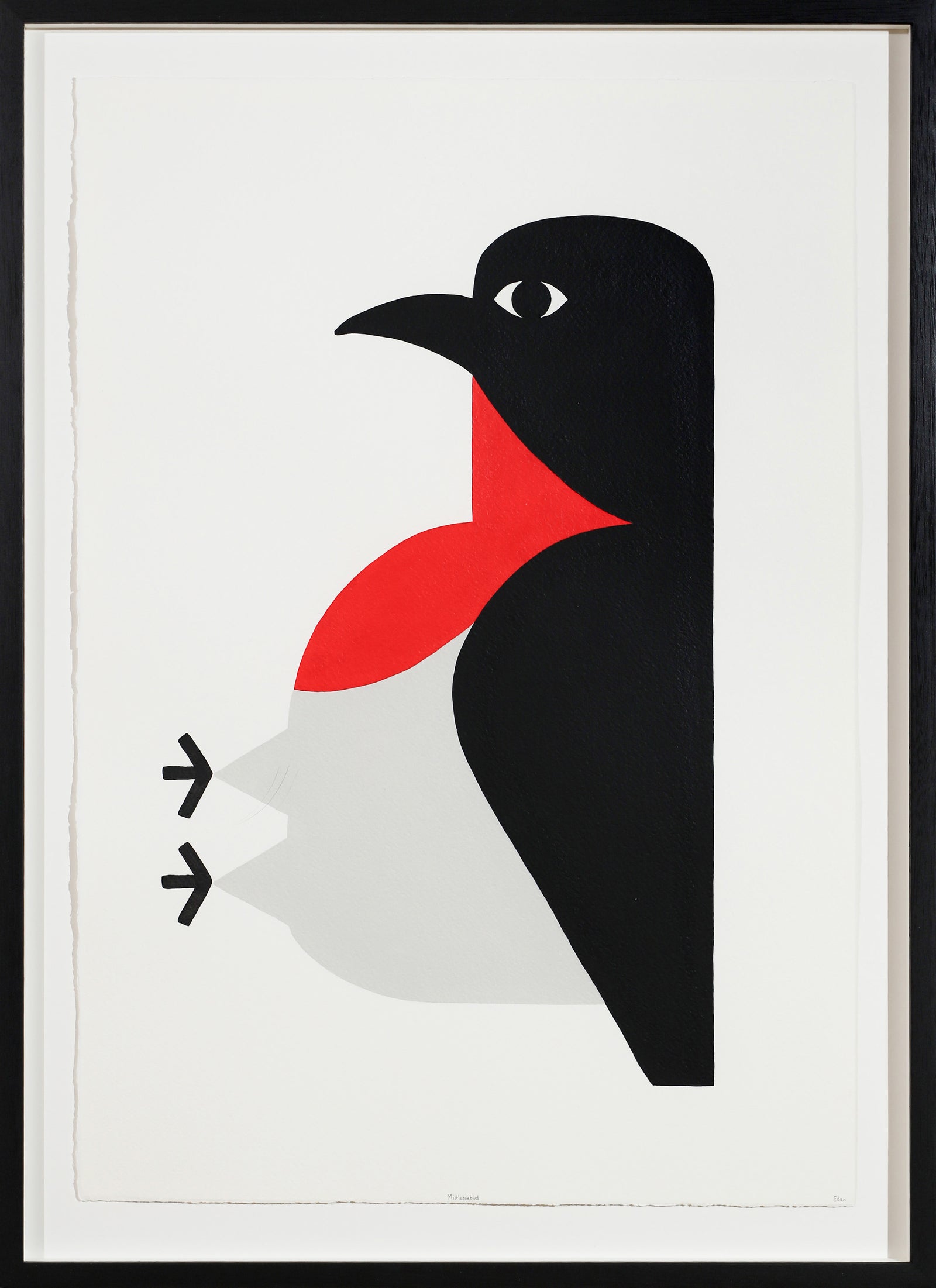 Edan Azzopardi | Mistletoe bird