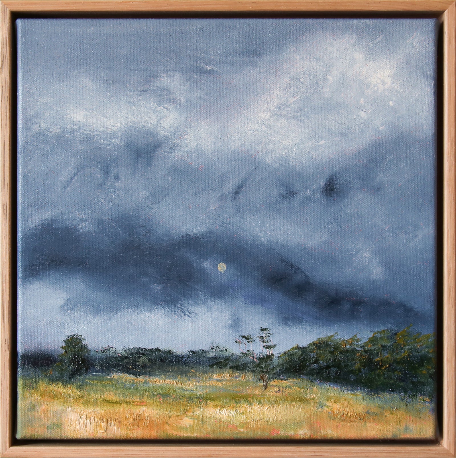 Allison Taplin | Moonlight