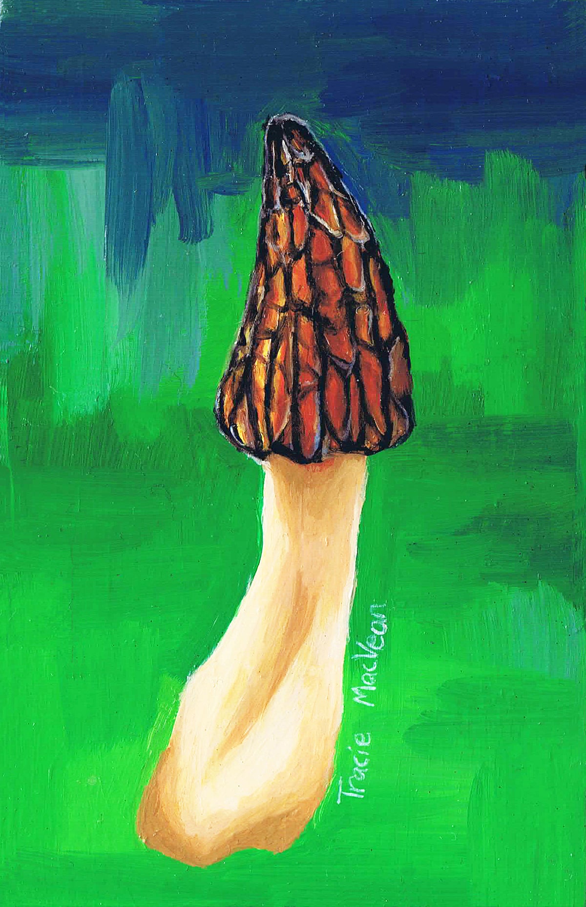 Tracie MacVean | Morel Miniature