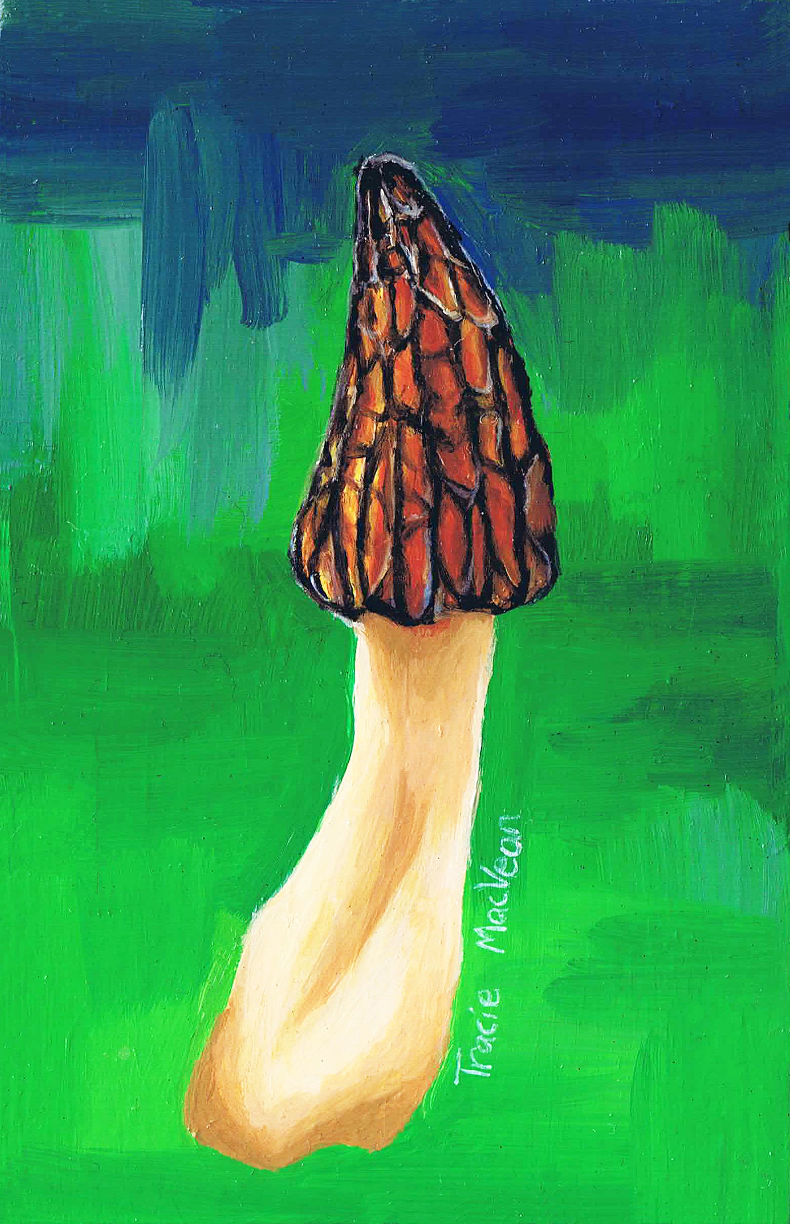 Tracie MacVean | Morel Miniature