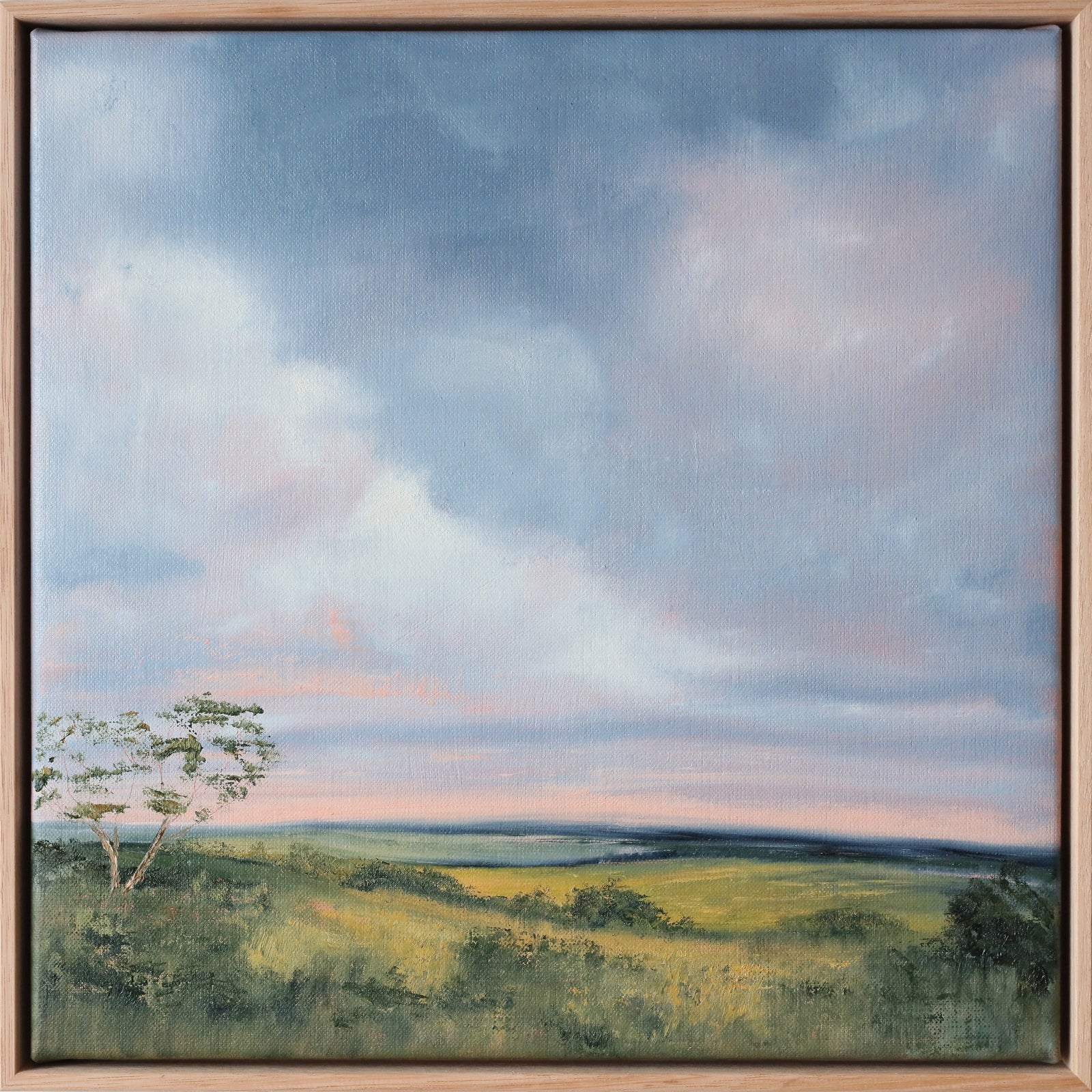 Allison Taplin | My Whole Heart