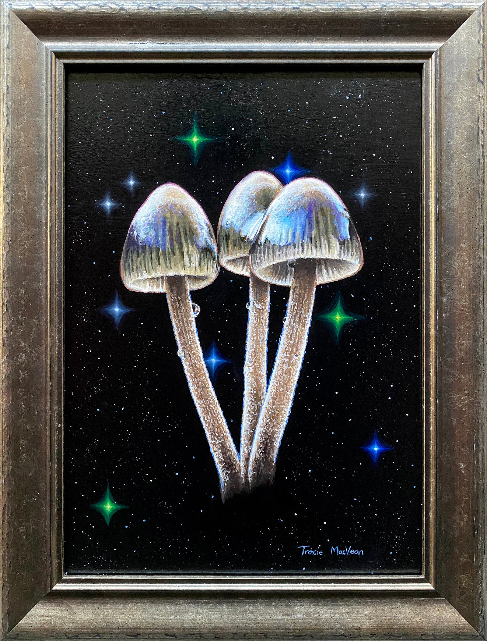 Tracie MacVean | Mycena Amicta