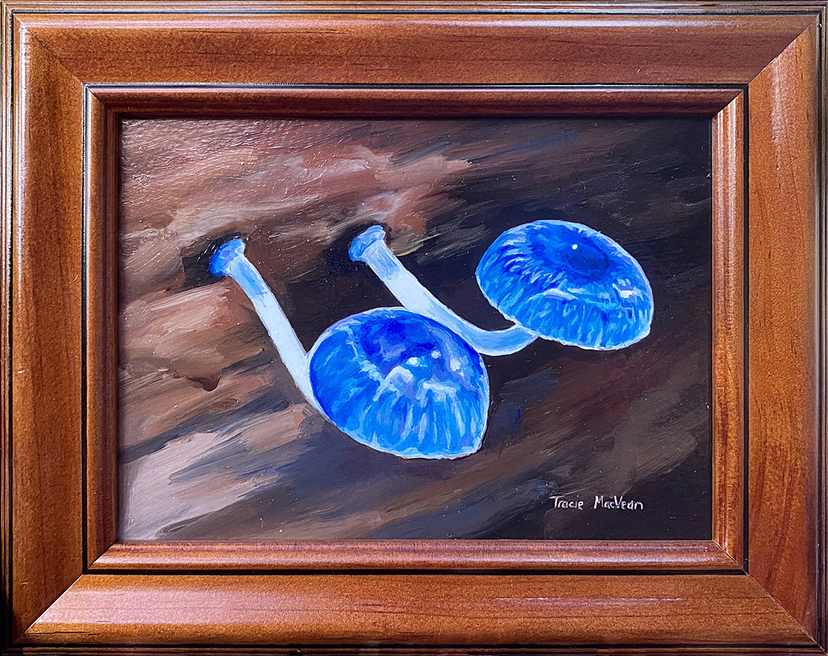 Tracie MacVean | Mycena Interrupta