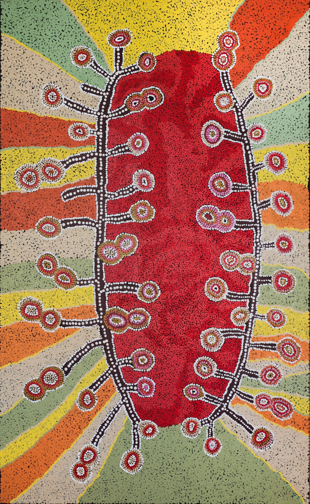 Naomi Douglas | Ngayuku ngura - My Country 123-25
