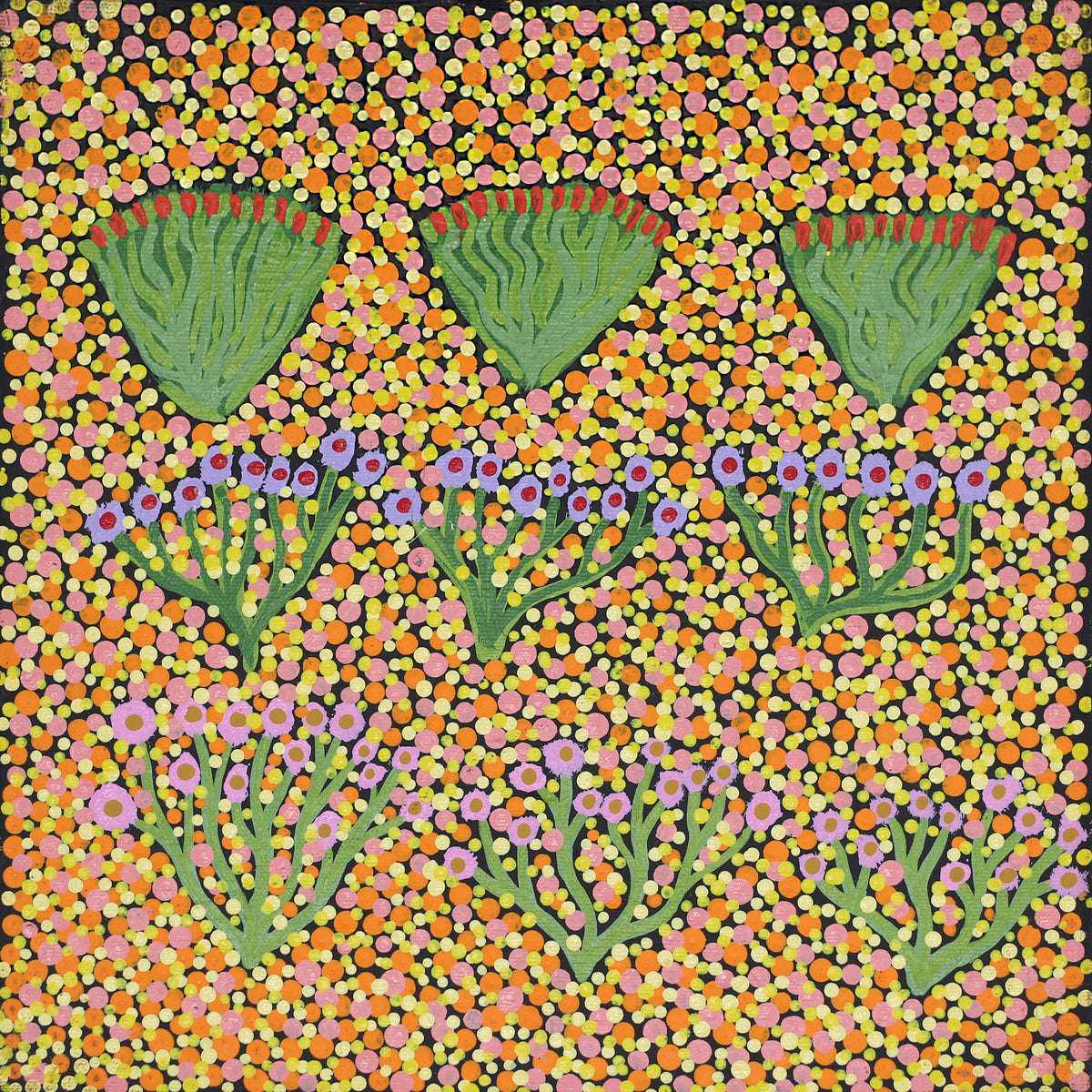 Natalie Pitjara Morton | Bush Medicine Plants	444-23