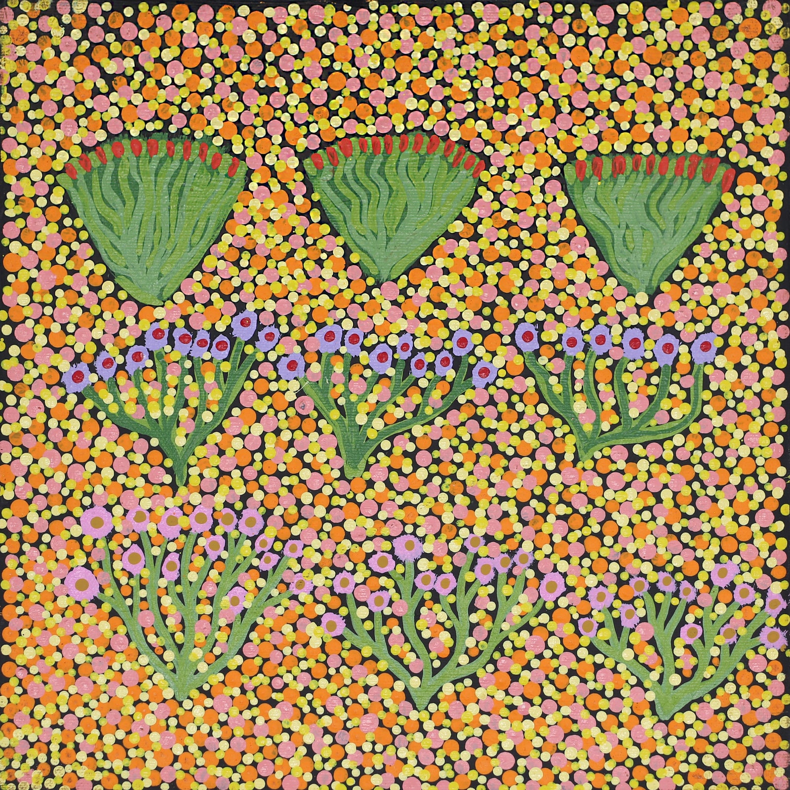 Natalie Pitjara Morton | Bush Medicine Plants	444-23
