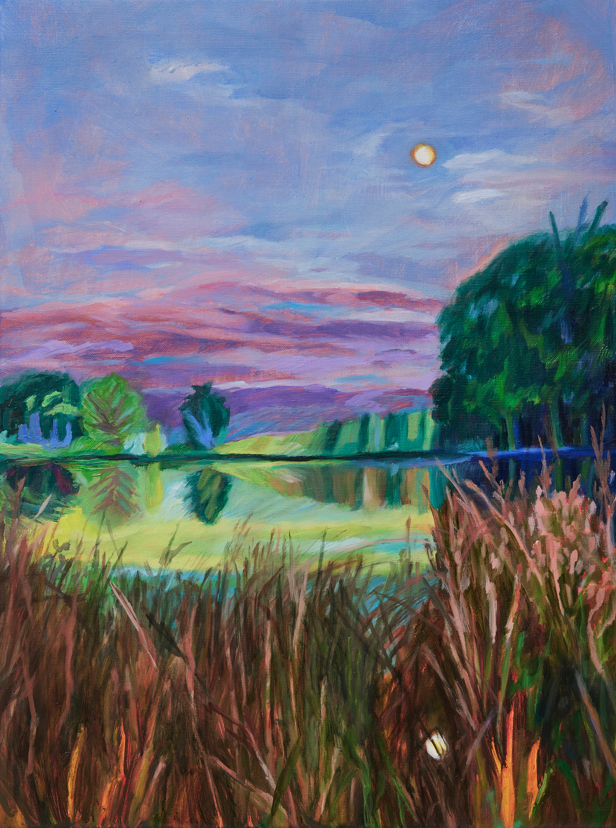 Vanessa Rowe | Nearby beyond