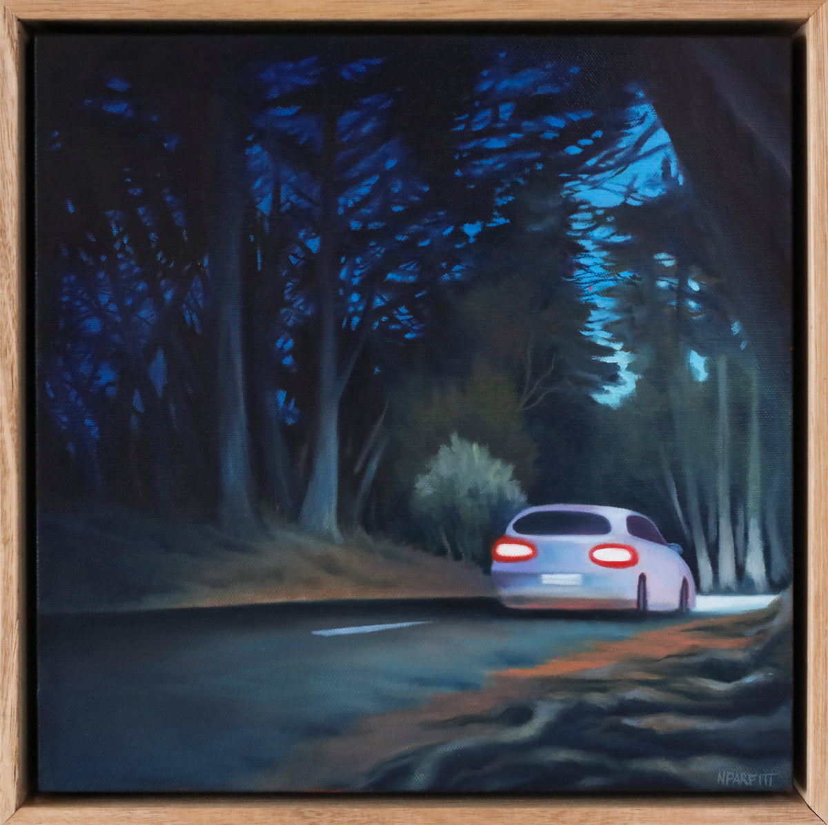 Nerrida Parfitt | Black Hill Night Drive