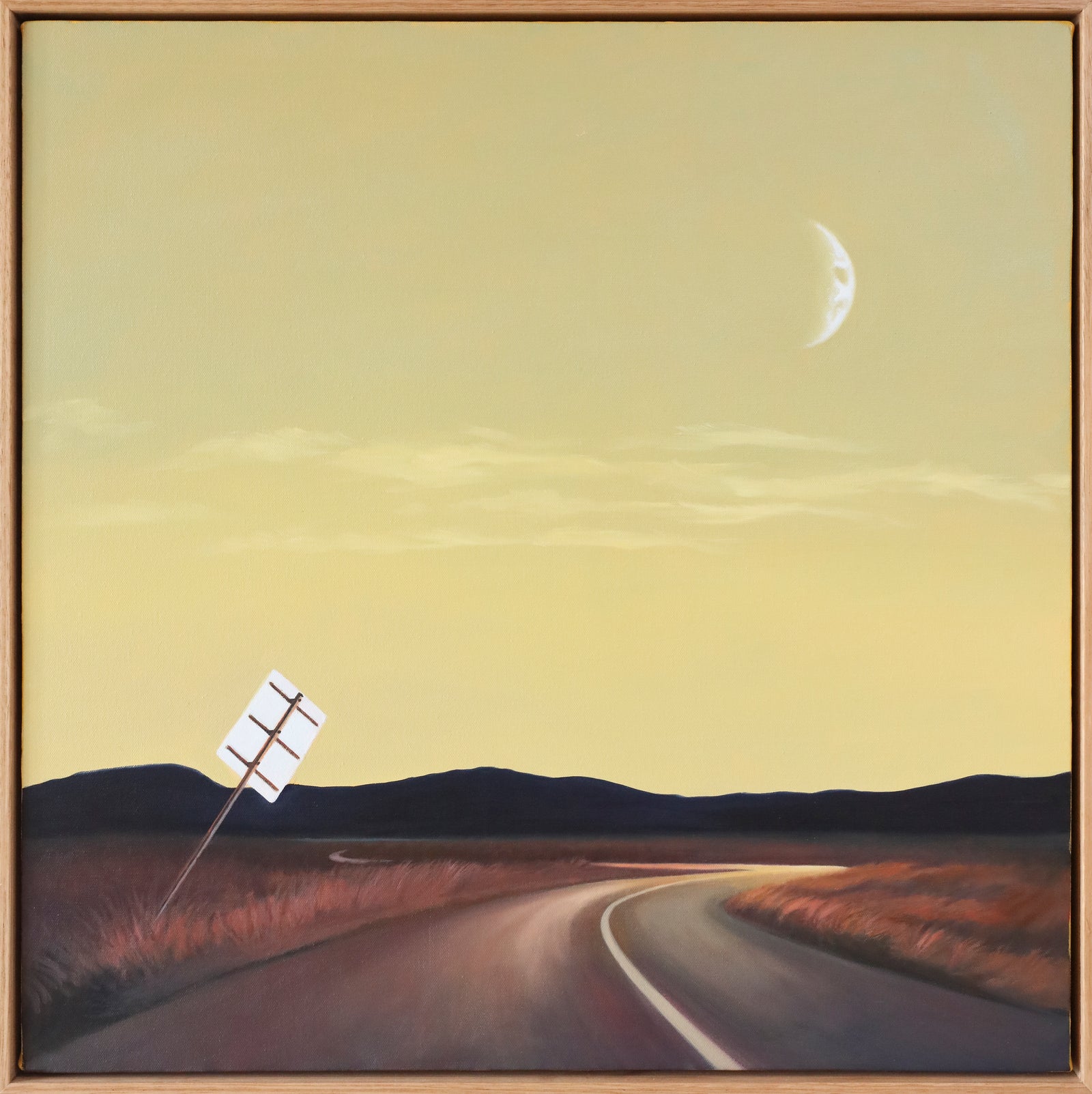 Nerrida Parfitt | Swept