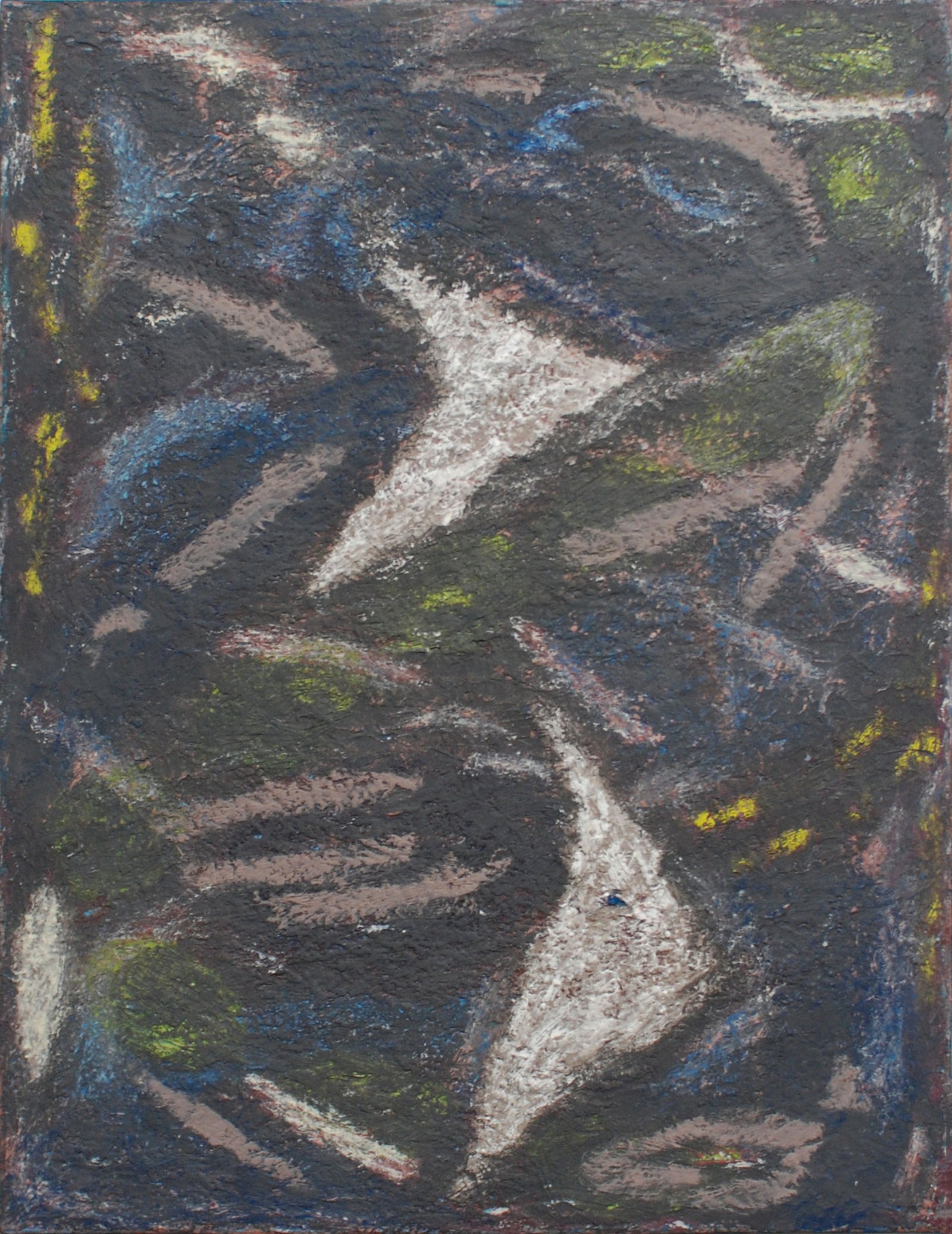 Kirstie Ussher | Nocturnal Rhythms