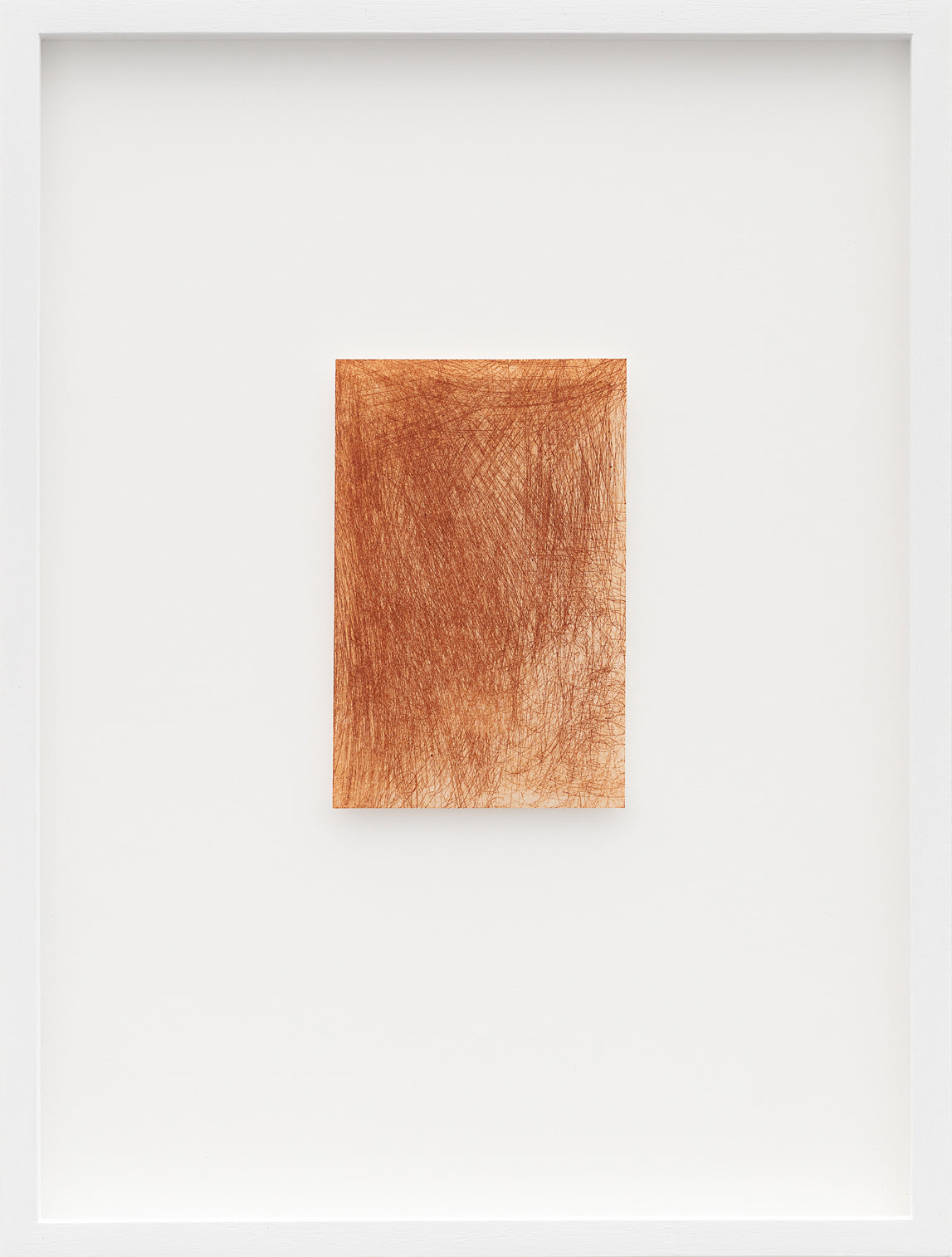 Cecilia Jacobs | Noise