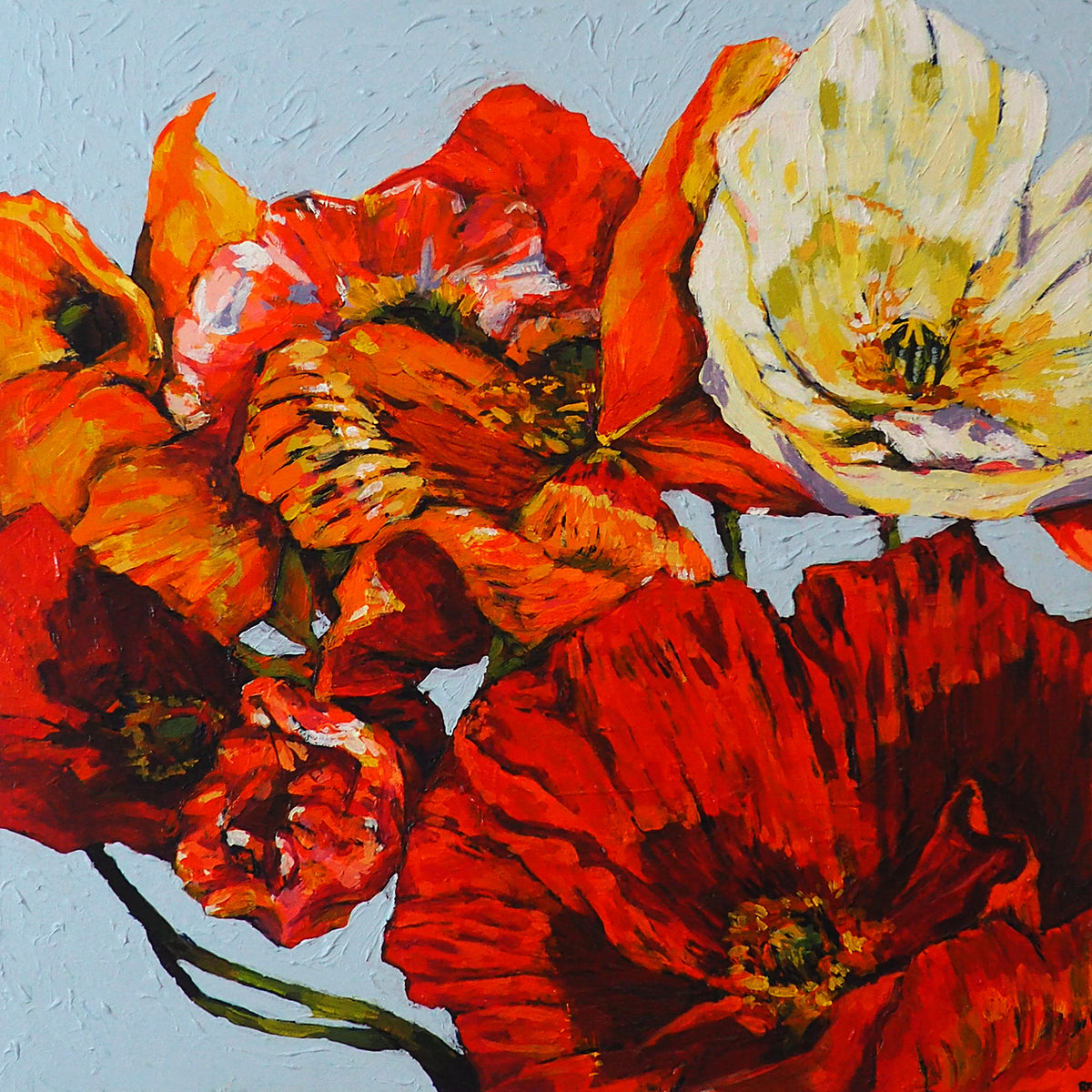 Rebecca Kilpatrick | One Trick Pony I