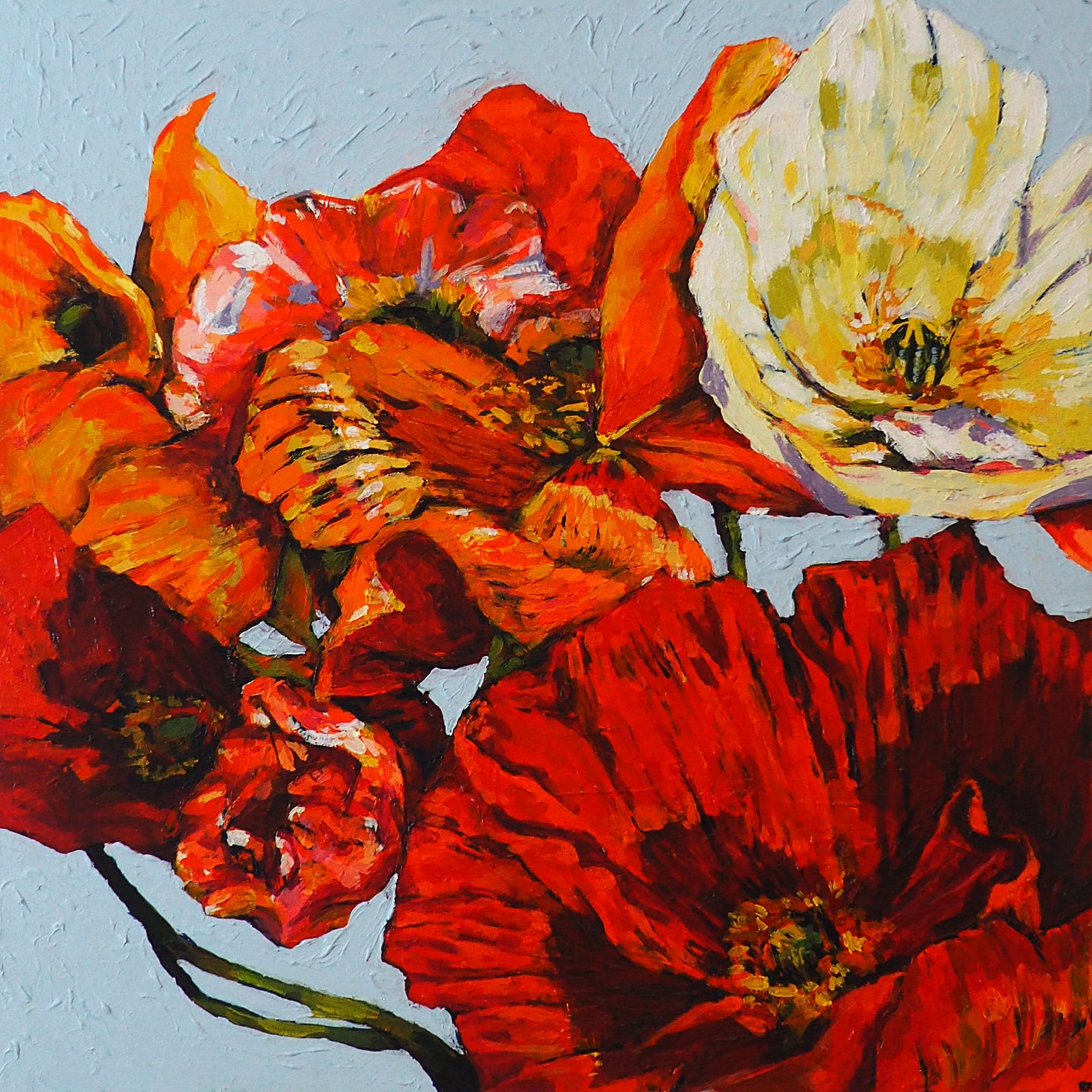 Rebecca Kilpatrick | One Trick Pony I