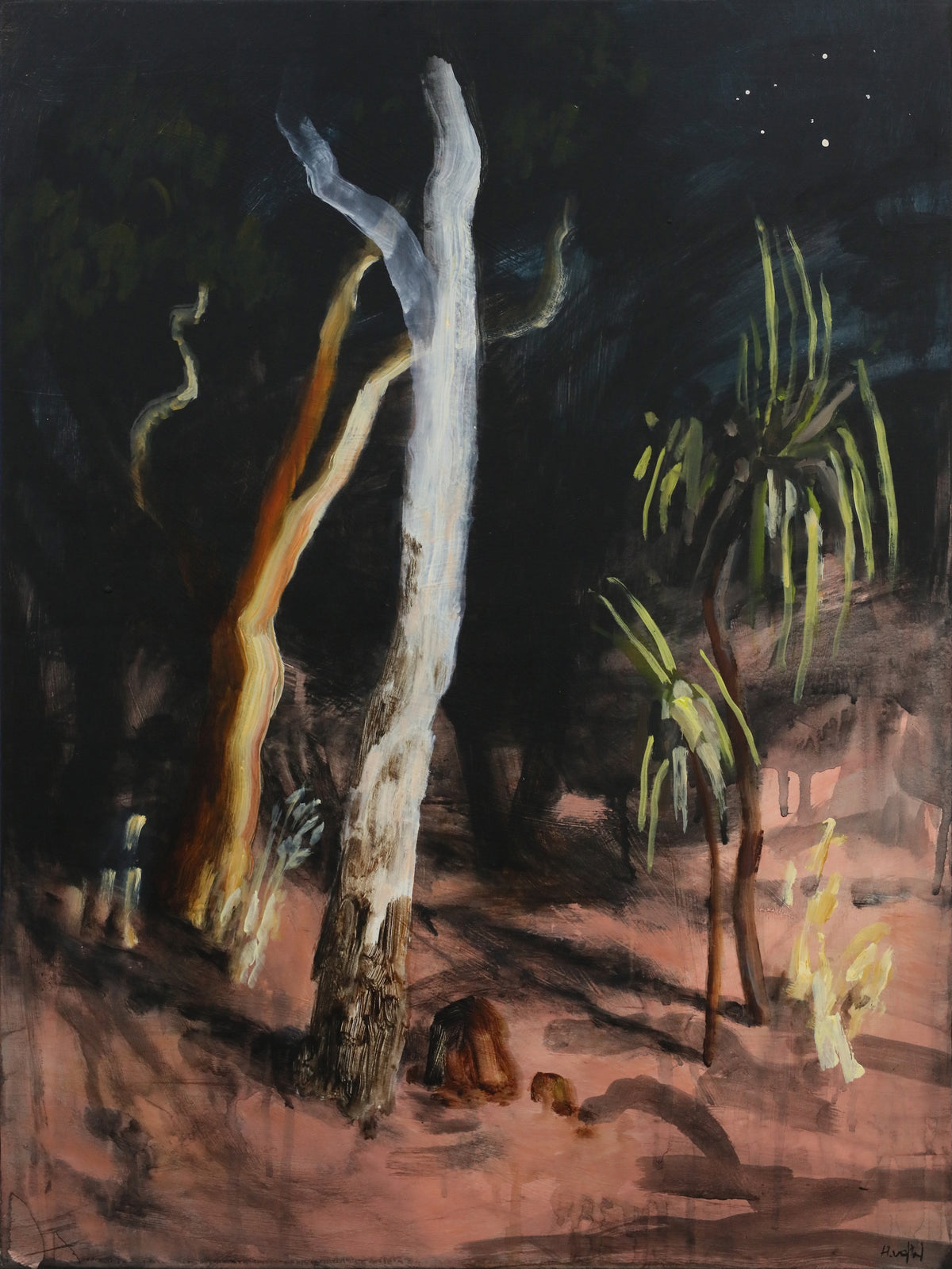 Hannah van der Wal | On the edge of a dream